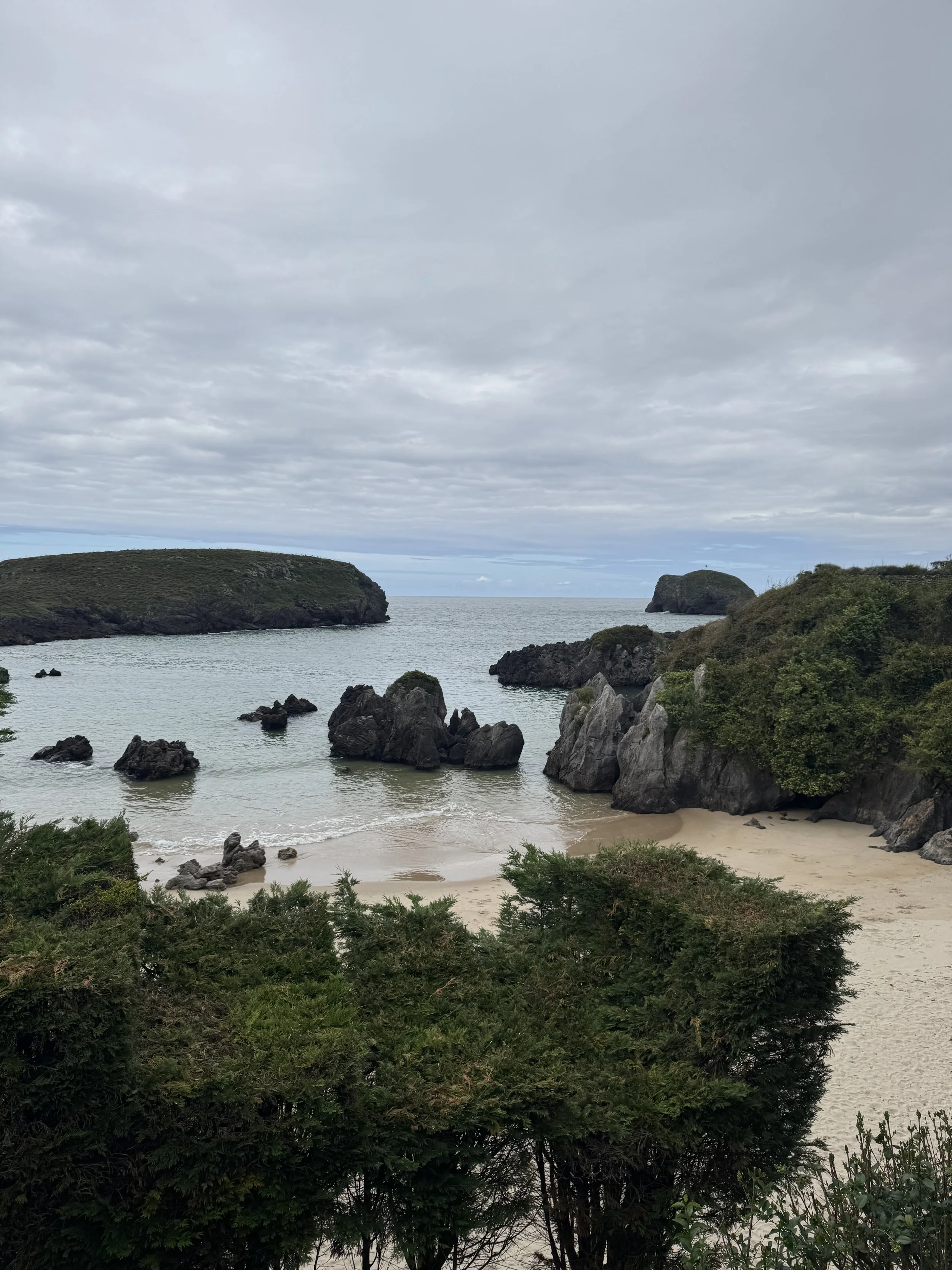 IMG_2981.jpeg