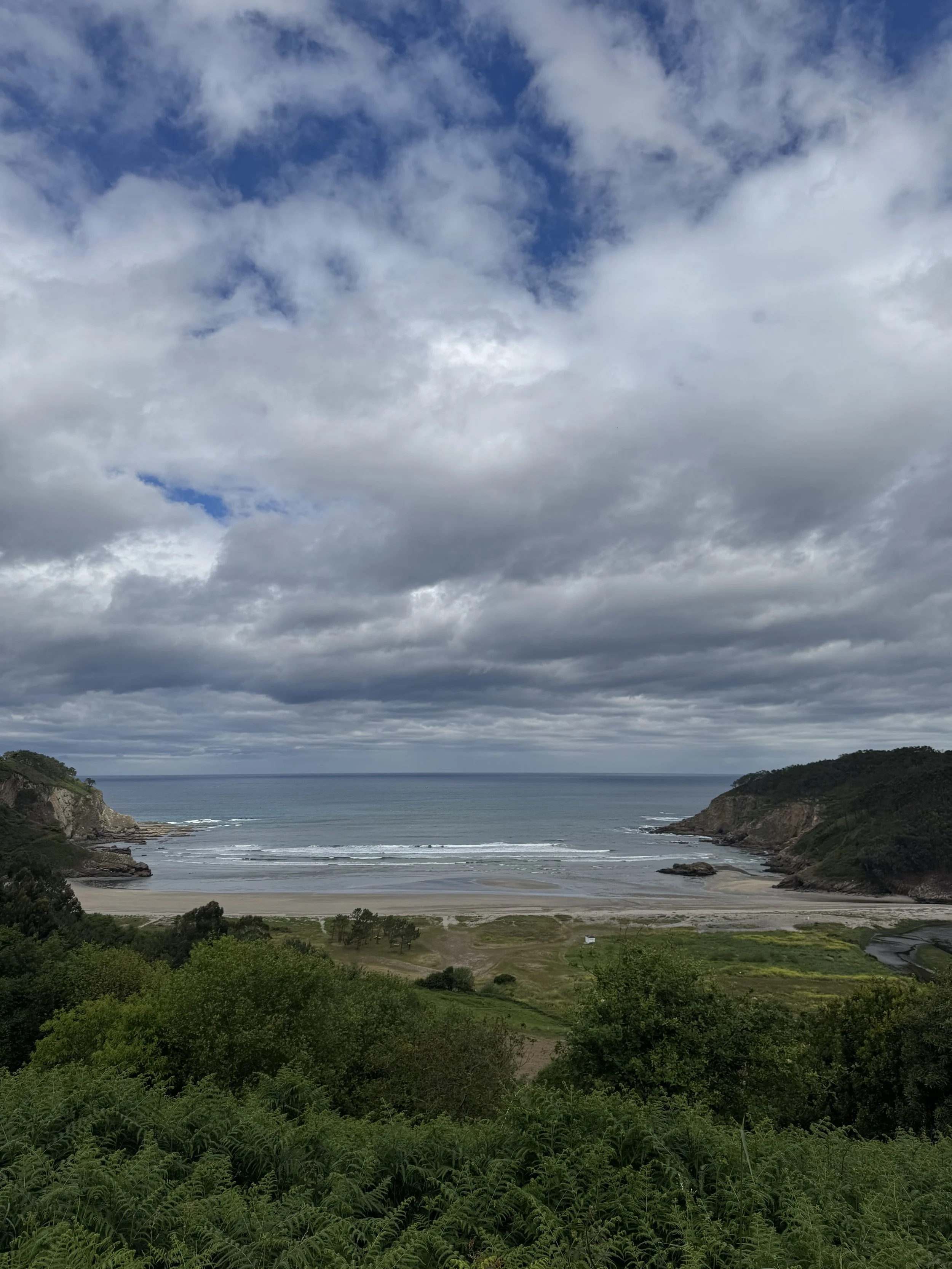 IMG_3067.jpeg