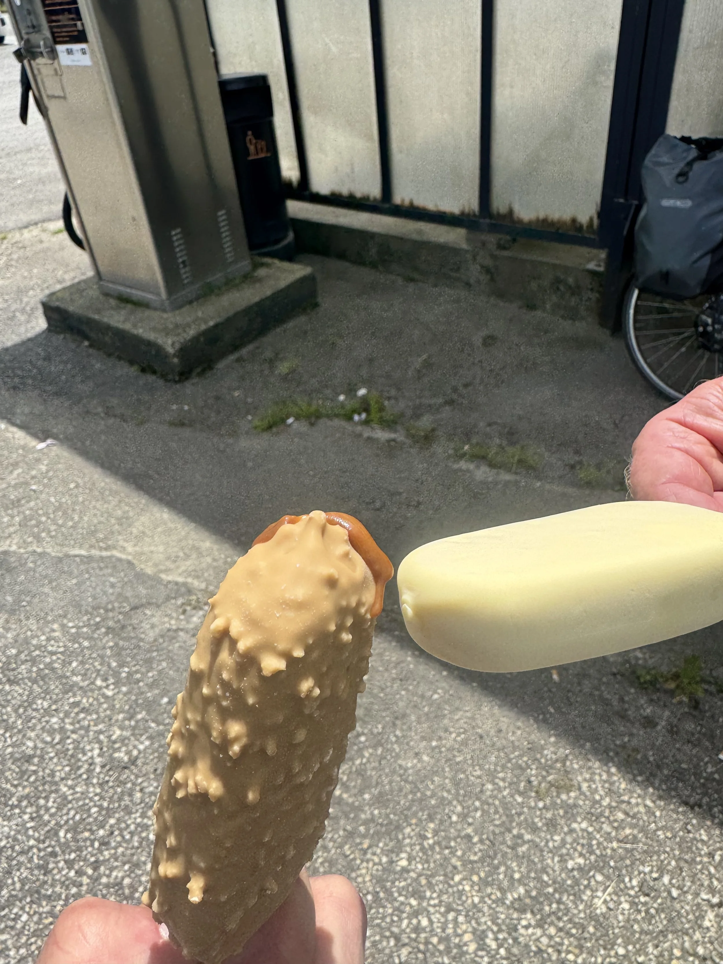 IMG_3074.jpeg