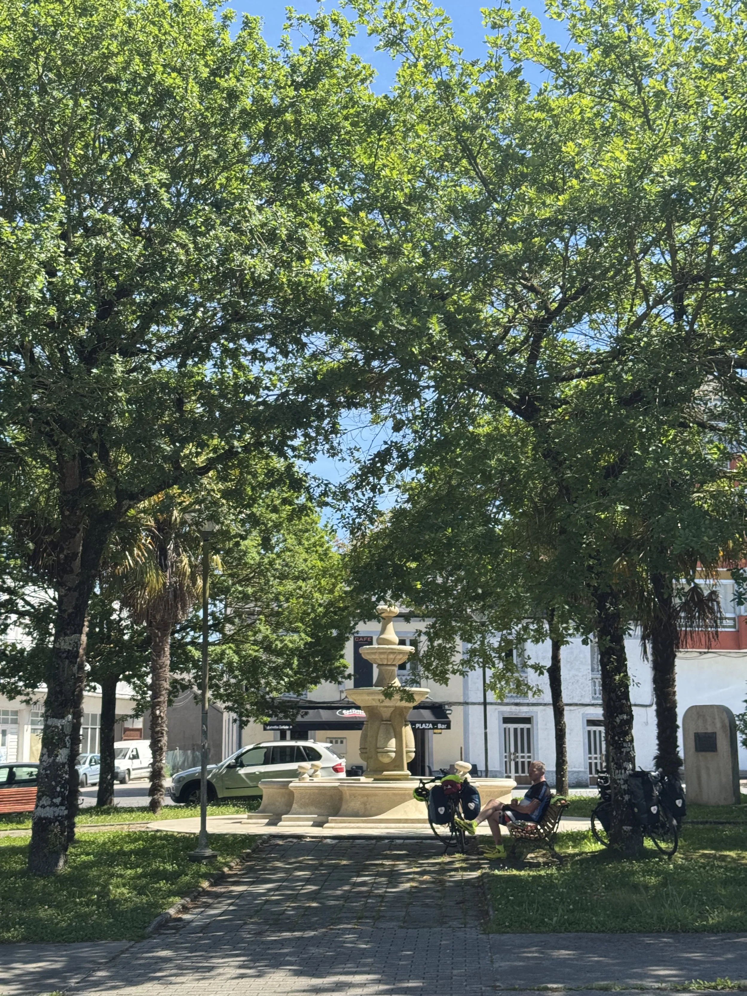 IMG_3130.jpeg