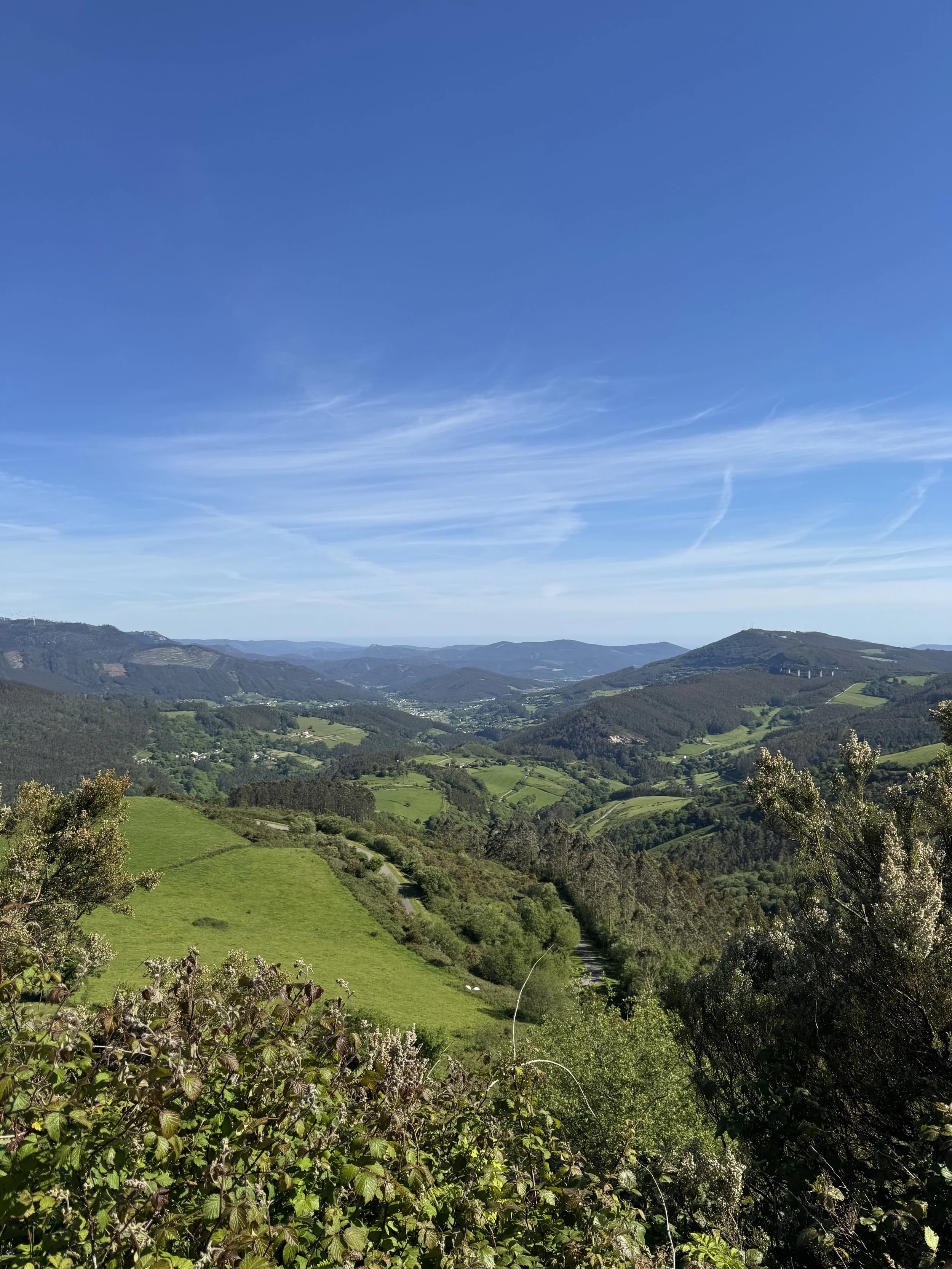 IMG_3123.jpeg
