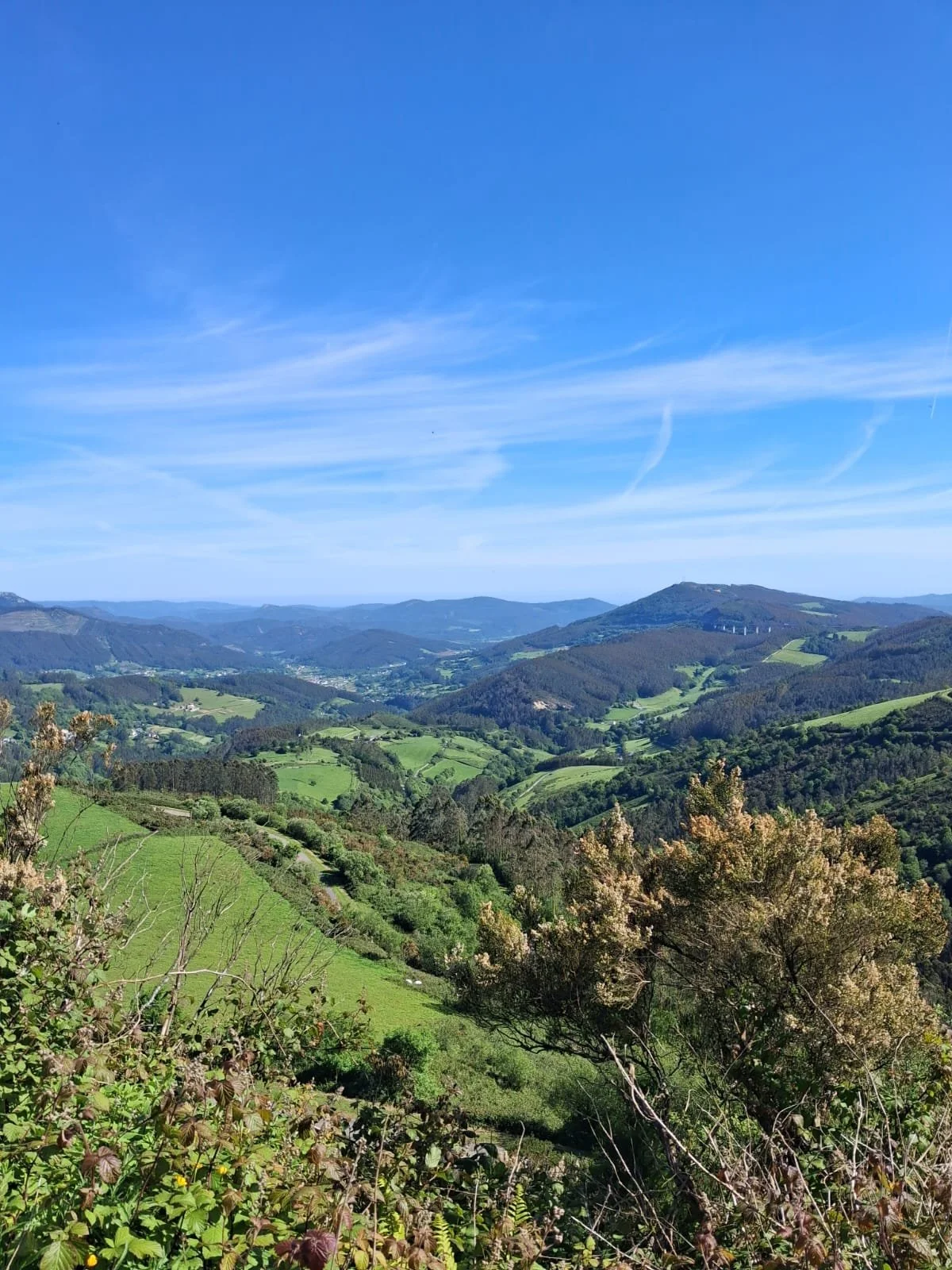 c1a31764-f325-4c35-a497-d61551bb025d.jpeg