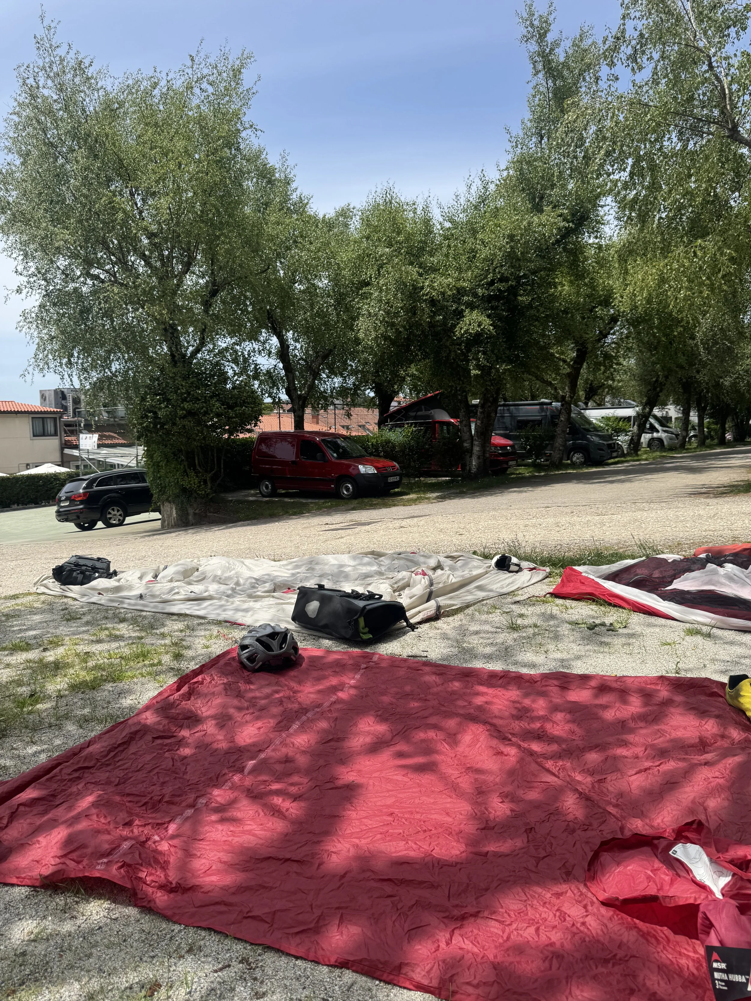 IMG_3176.jpeg