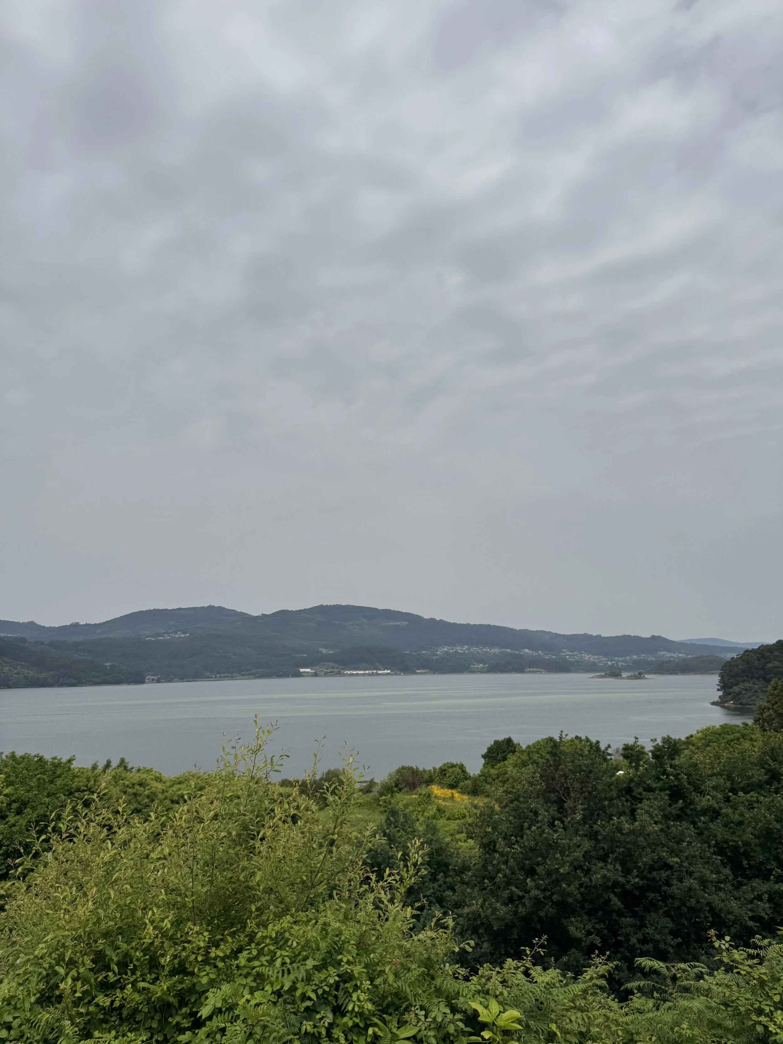 IMG_3230.jpeg