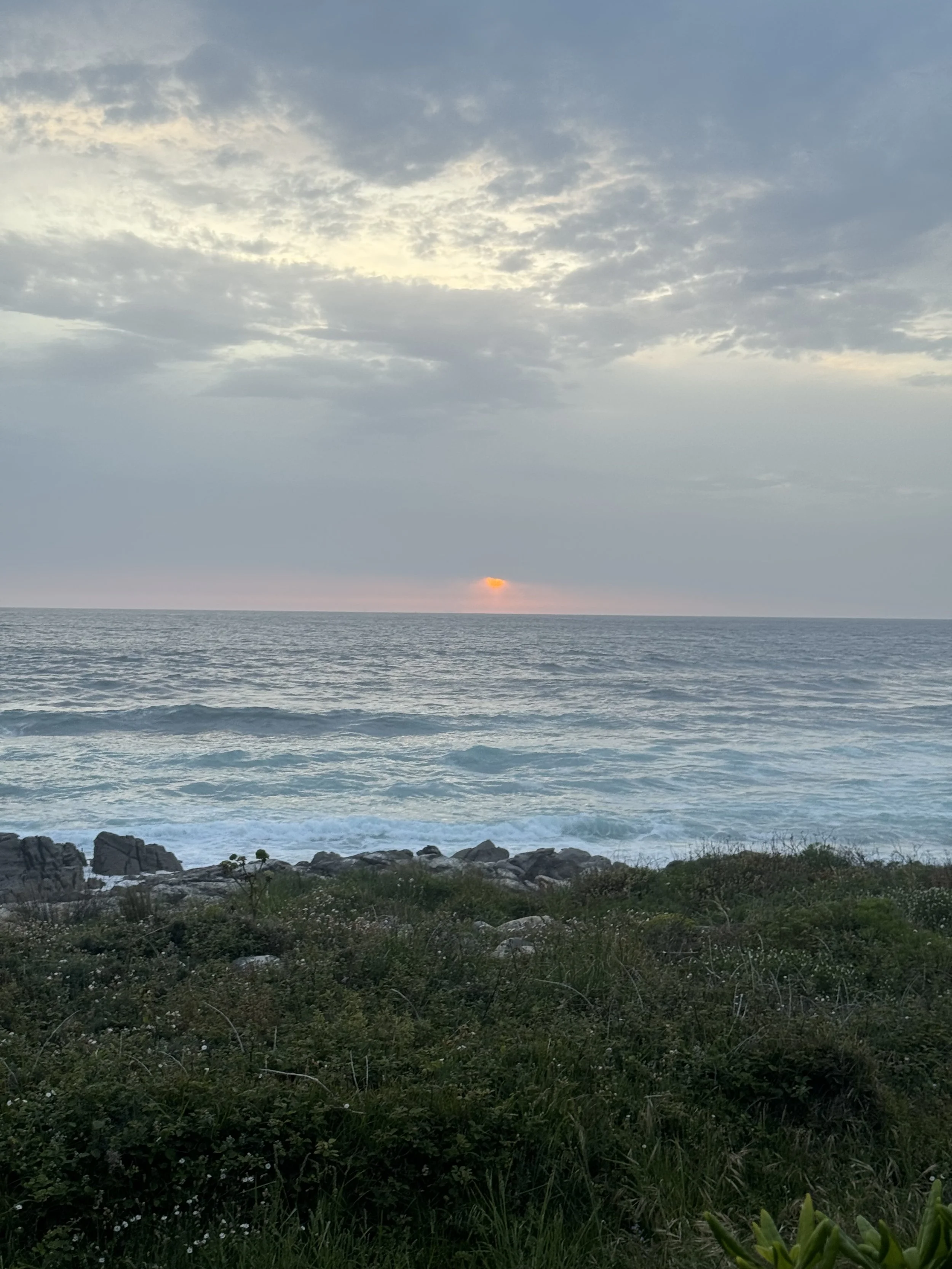 IMG_3266.jpeg