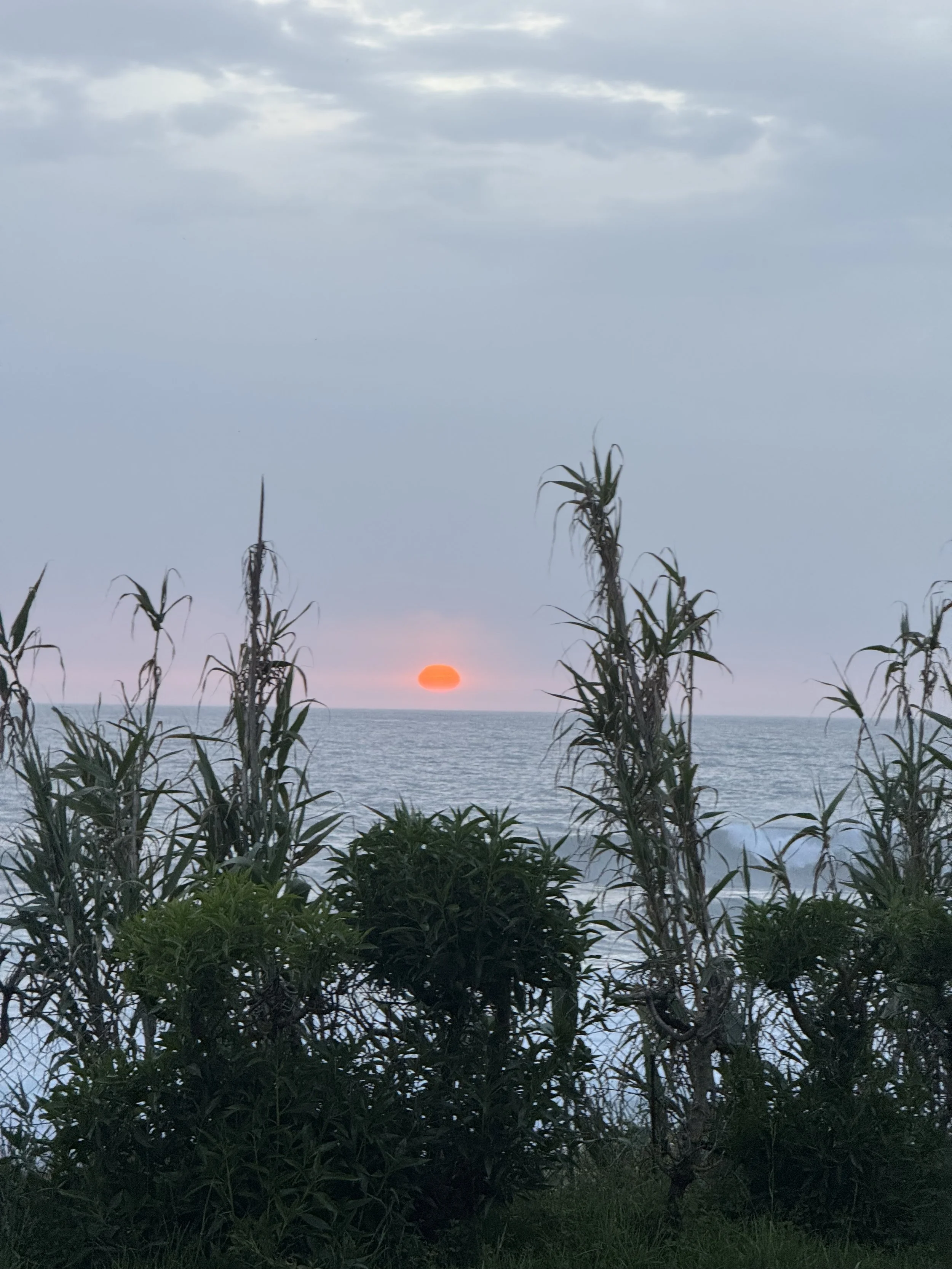 IMG_3267.jpeg