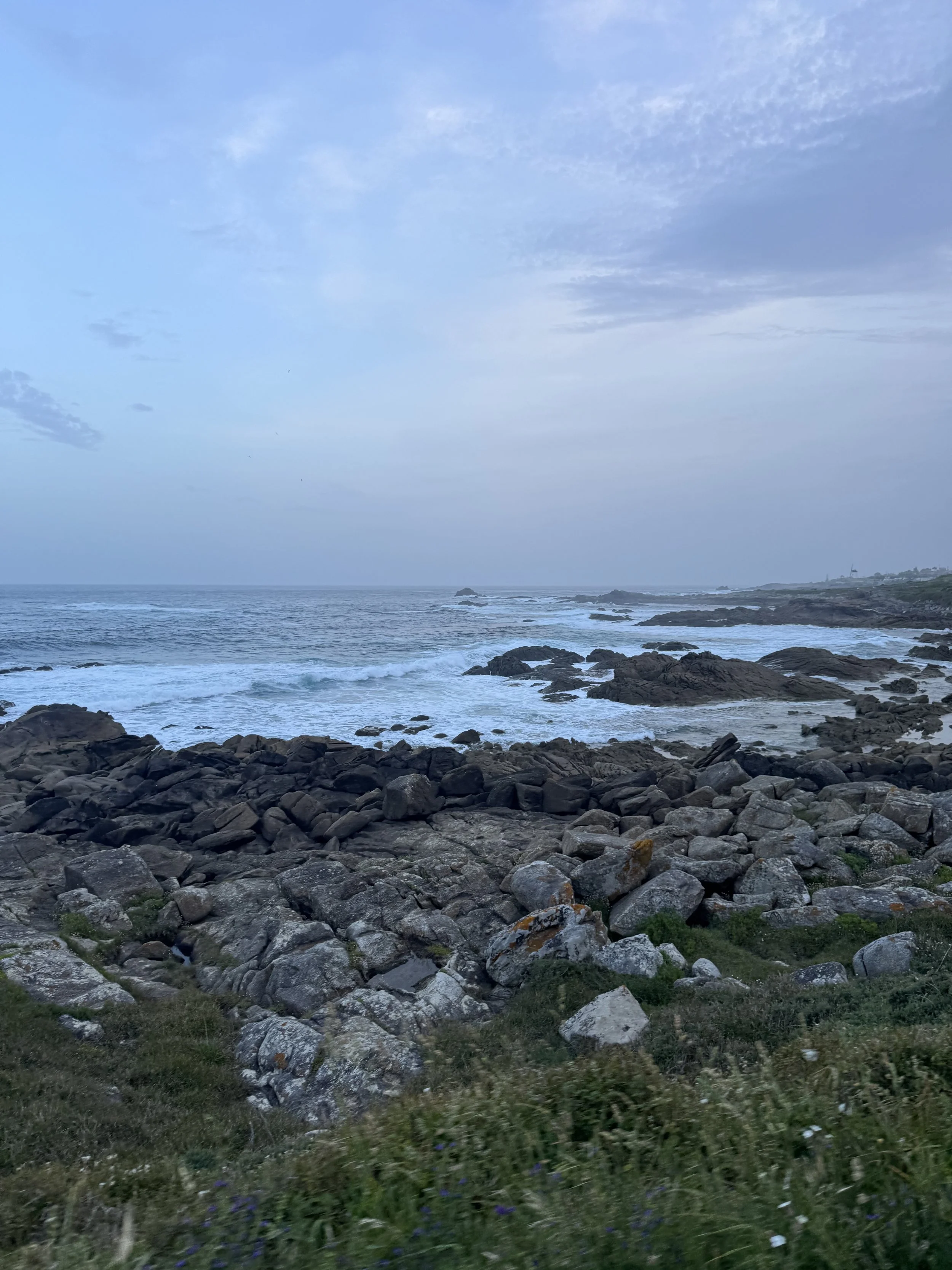 IMG_3274.jpeg