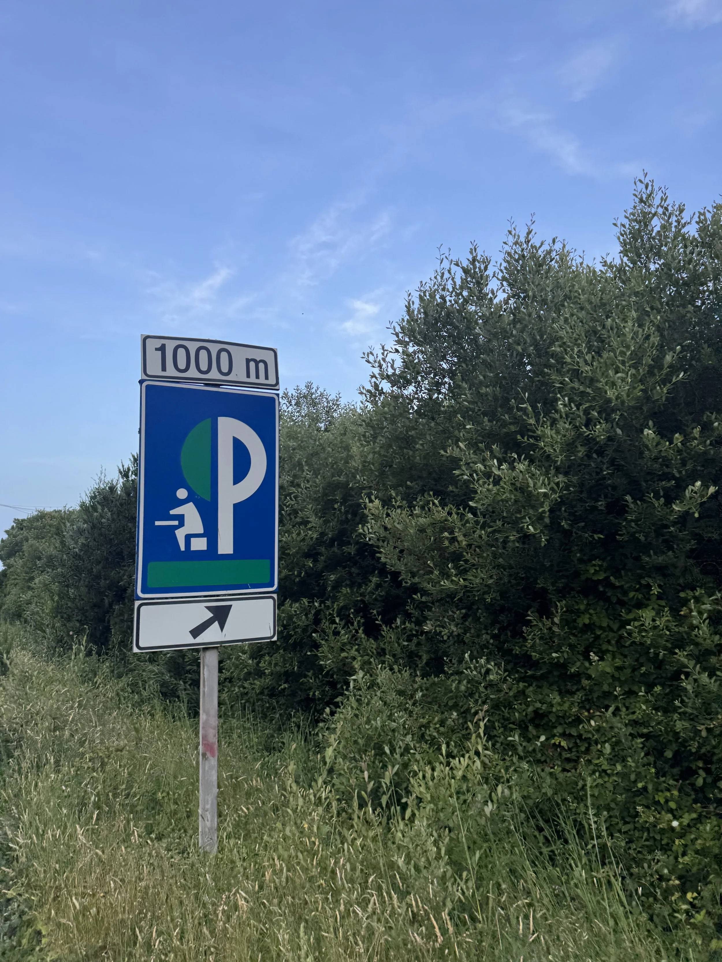 IMG_3277.jpeg
