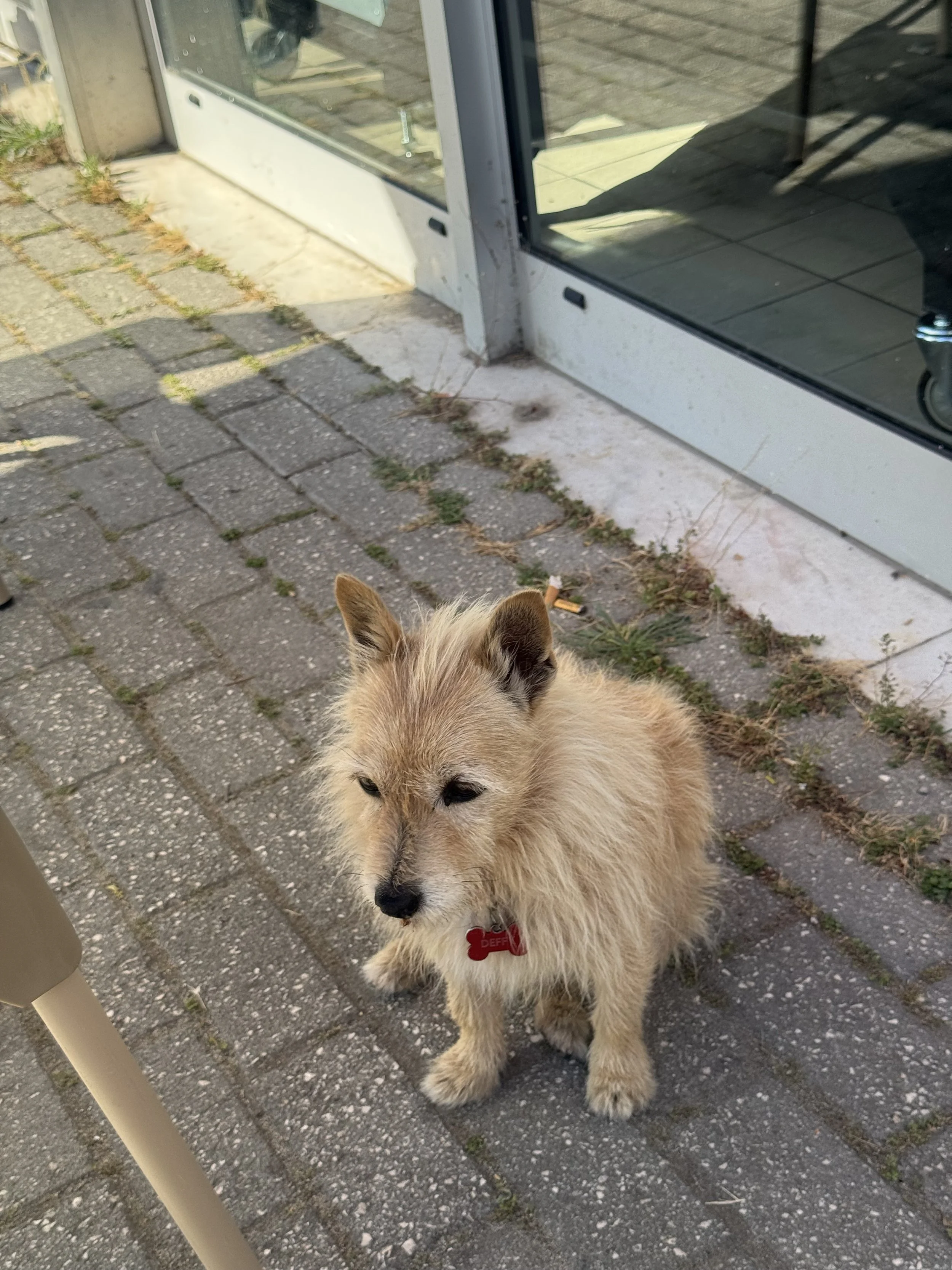 IMG_3542.jpeg
