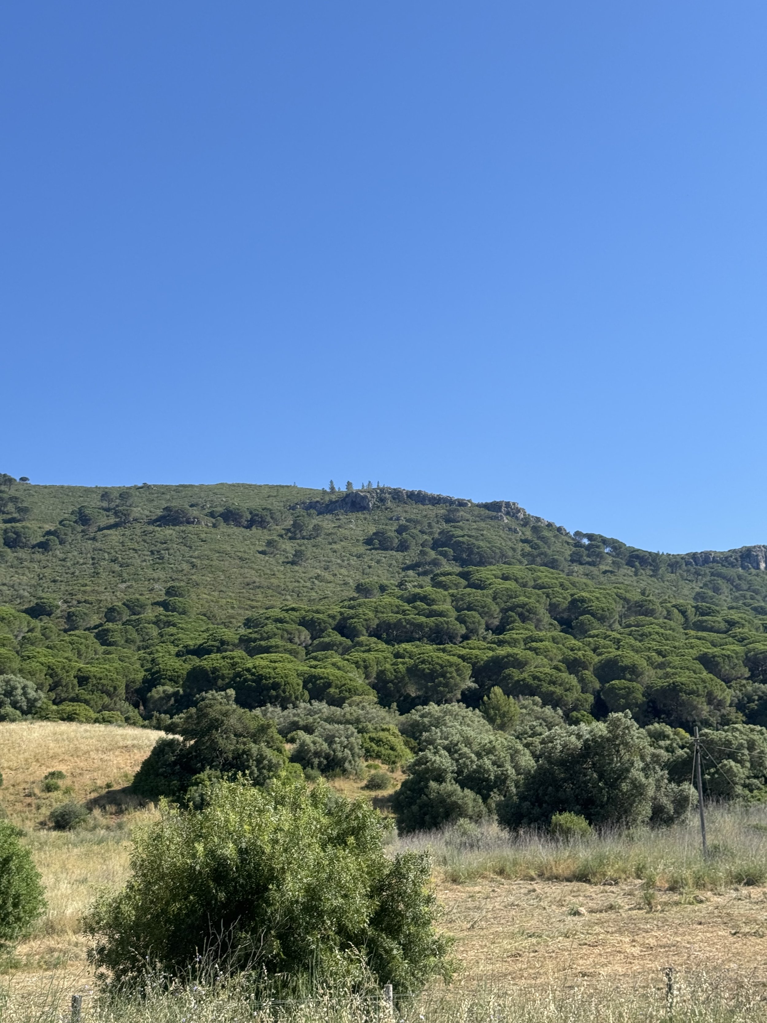 IMG_3544.jpeg