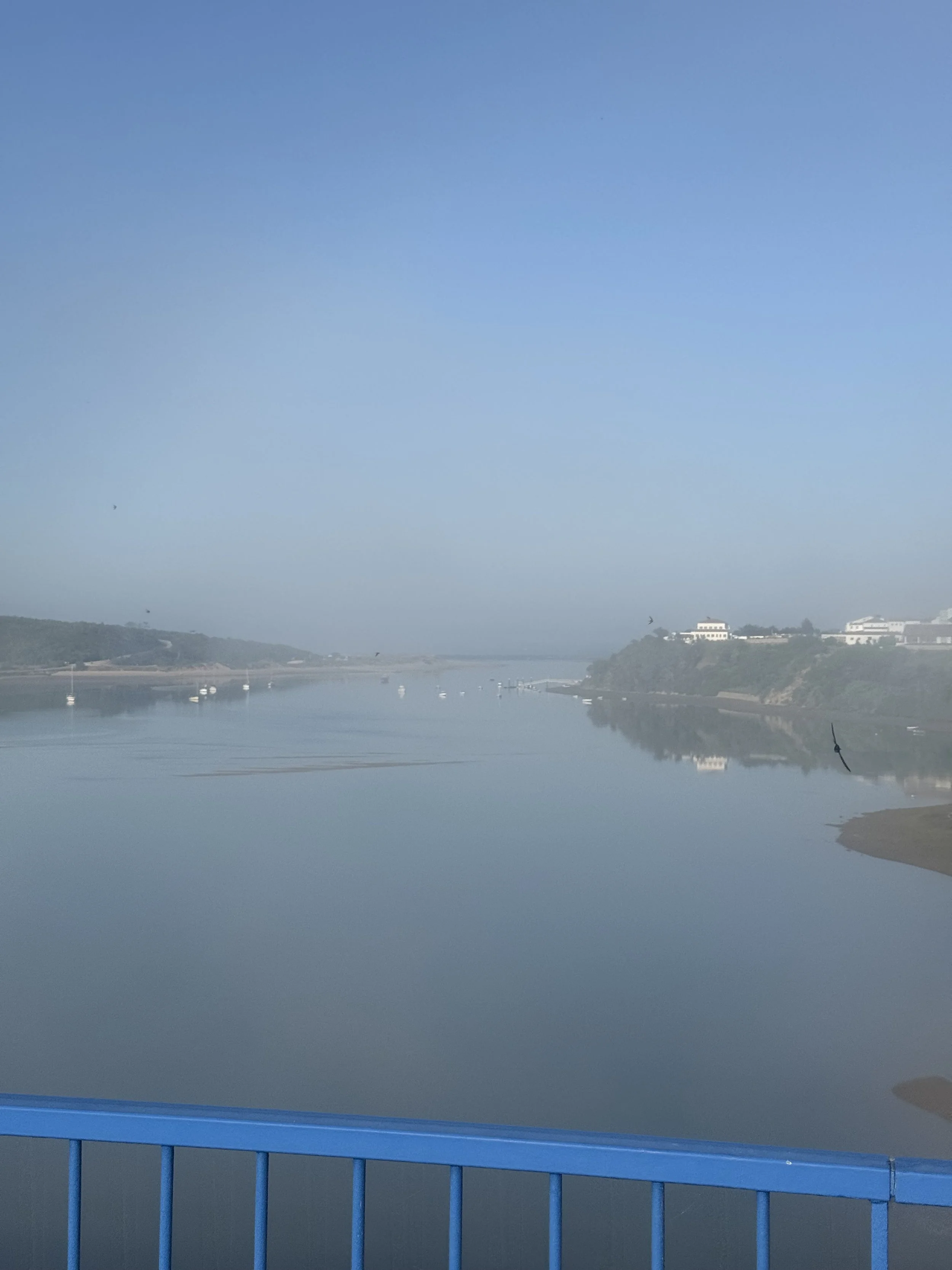 IMG_3597.jpeg