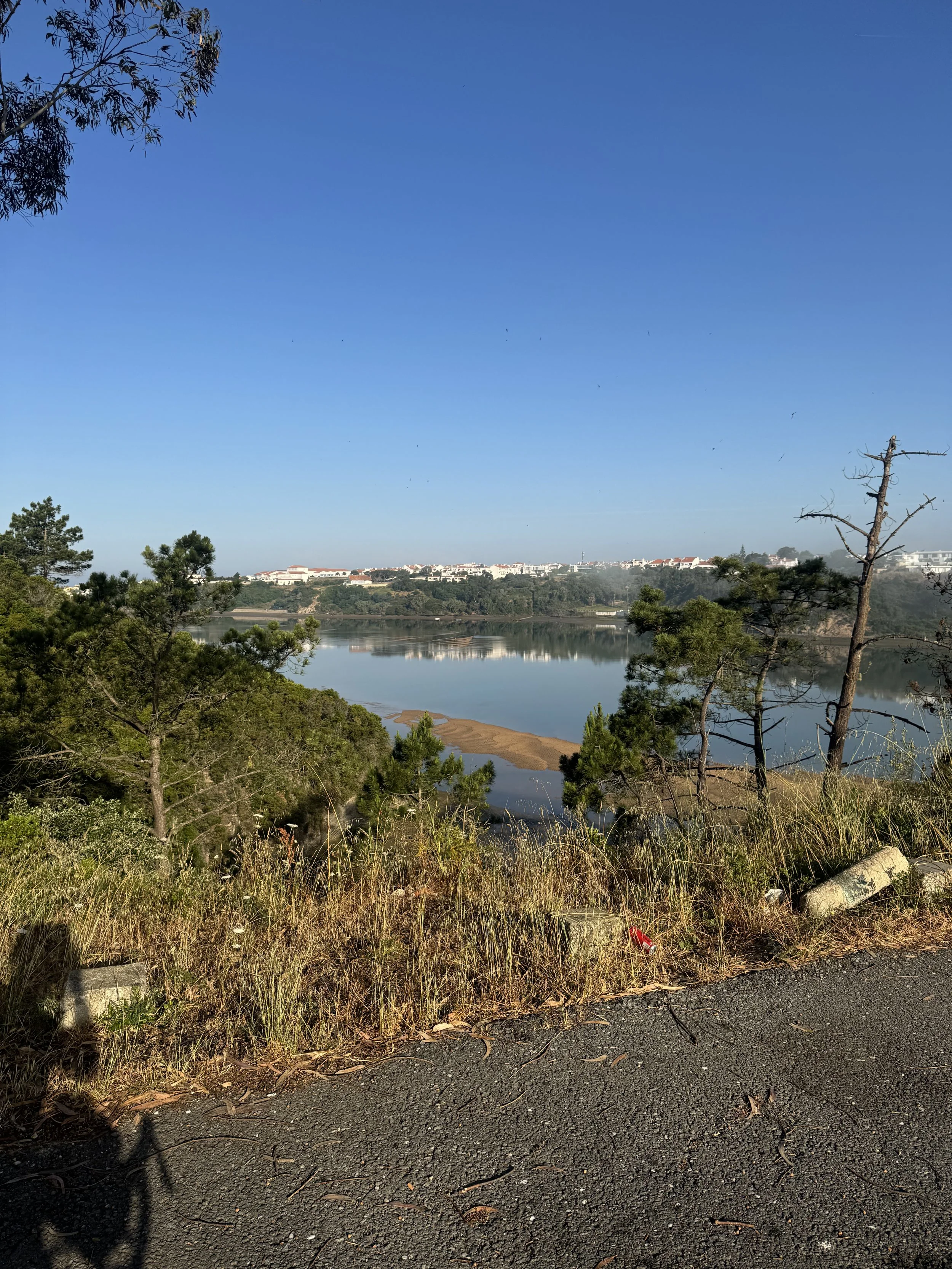 IMG_3598.jpeg