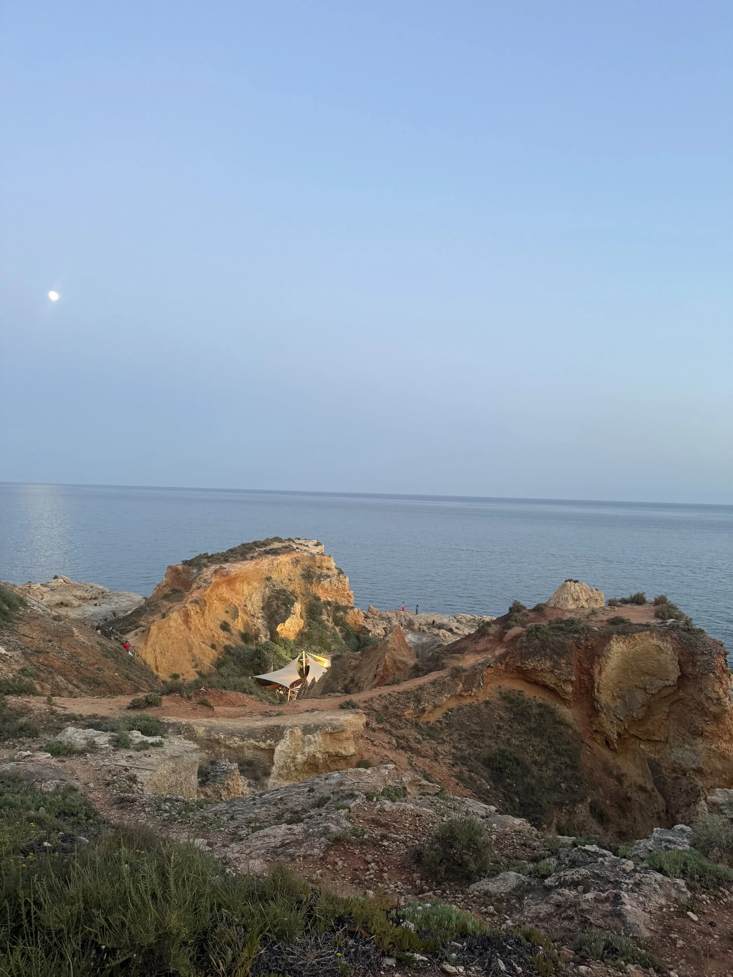 IMG_3659.jpeg