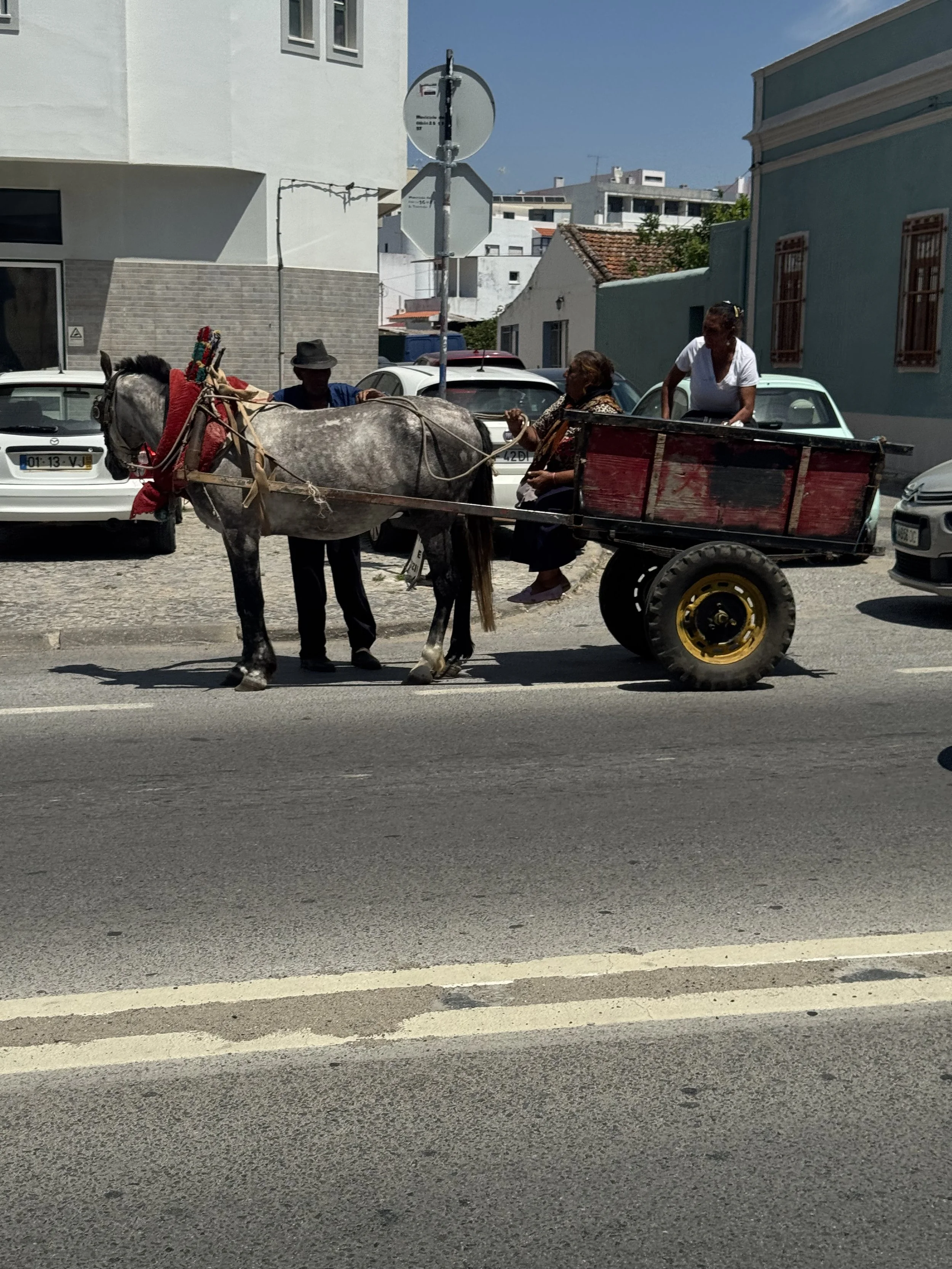IMG_3670.jpeg