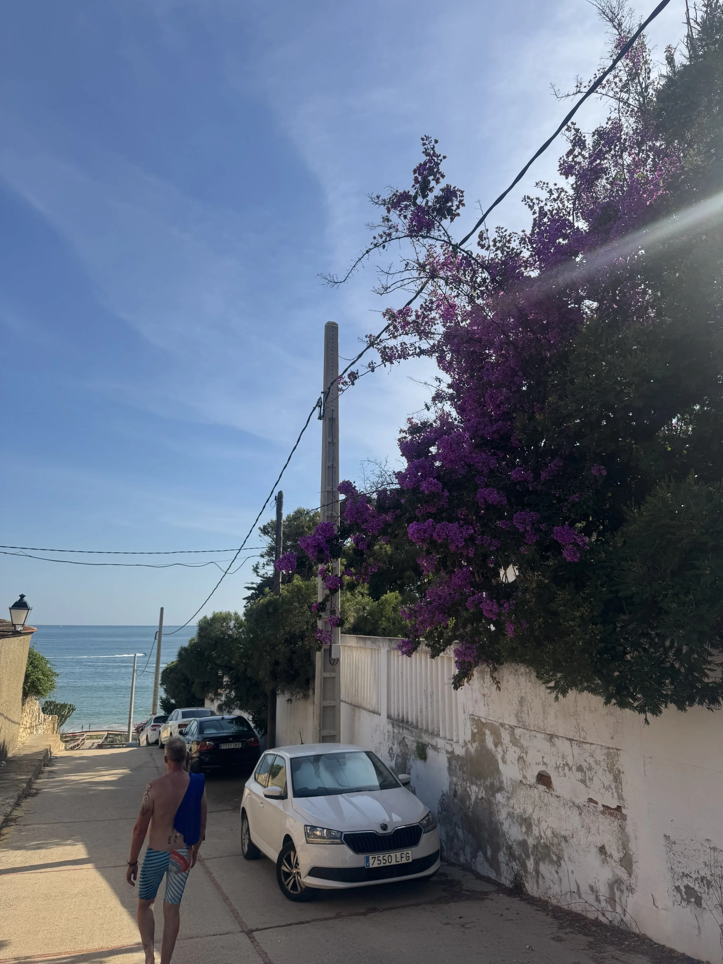 IMG_3766.jpeg