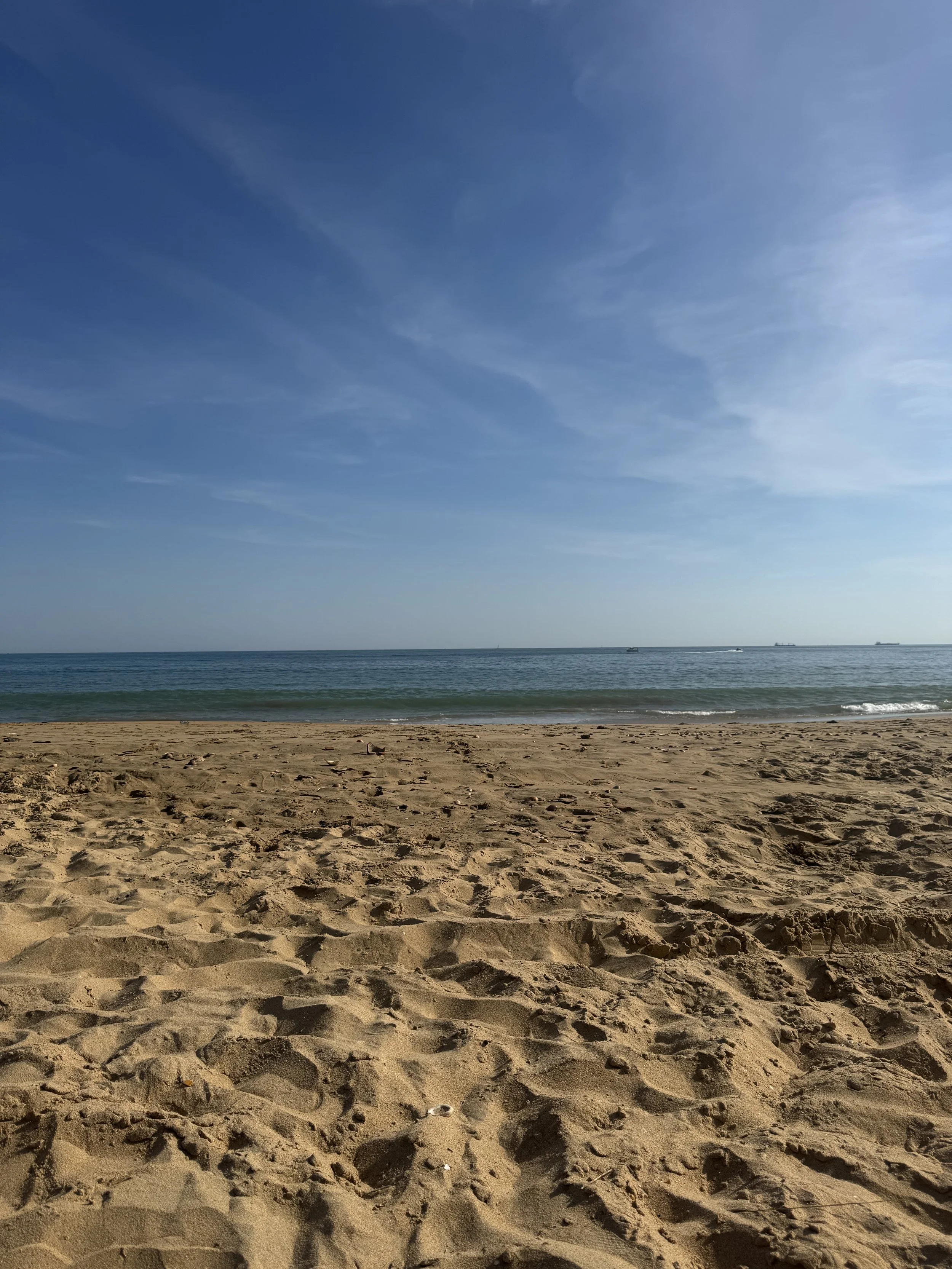 IMG_3768.jpeg