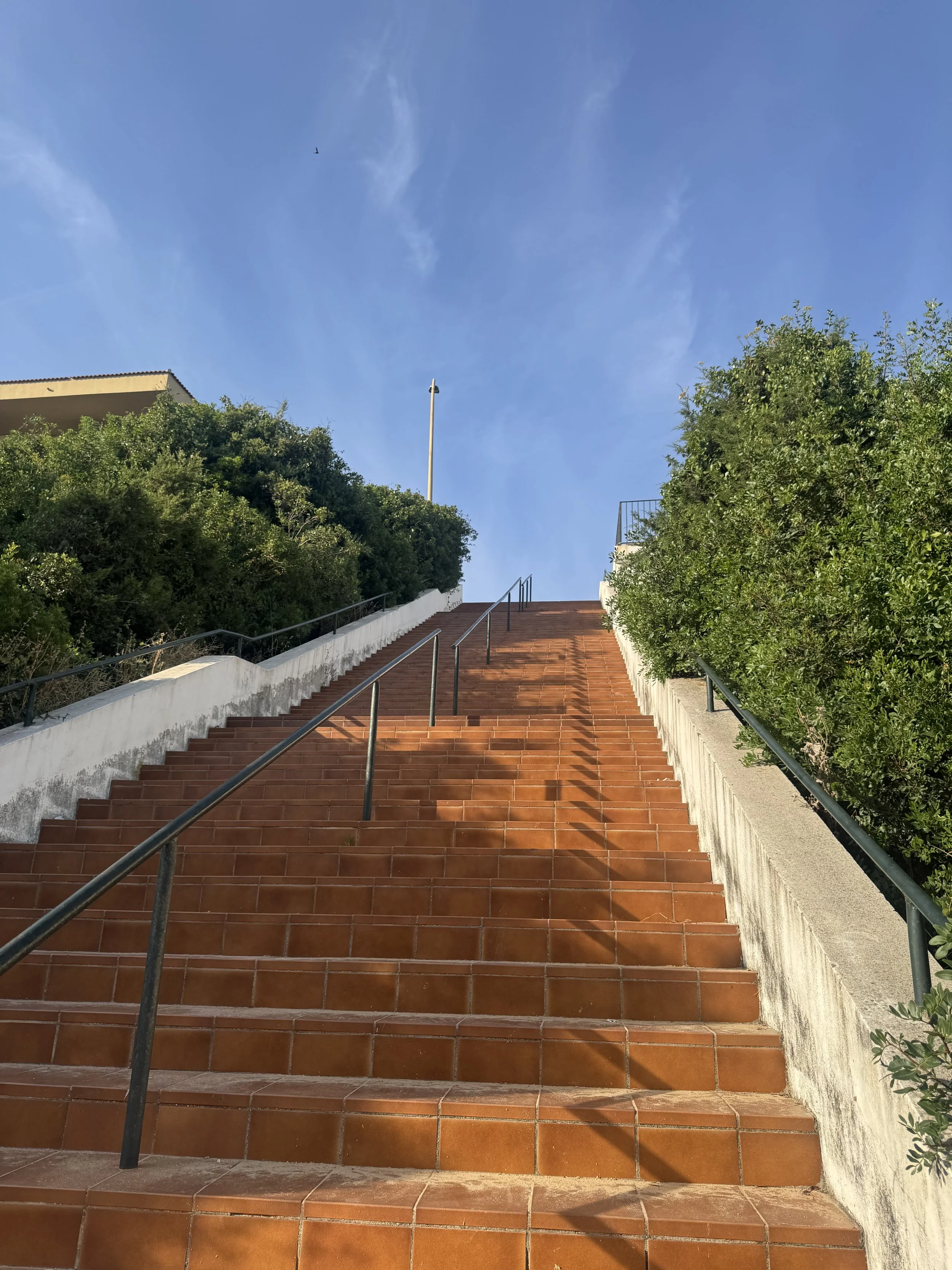 IMG_3780.jpeg