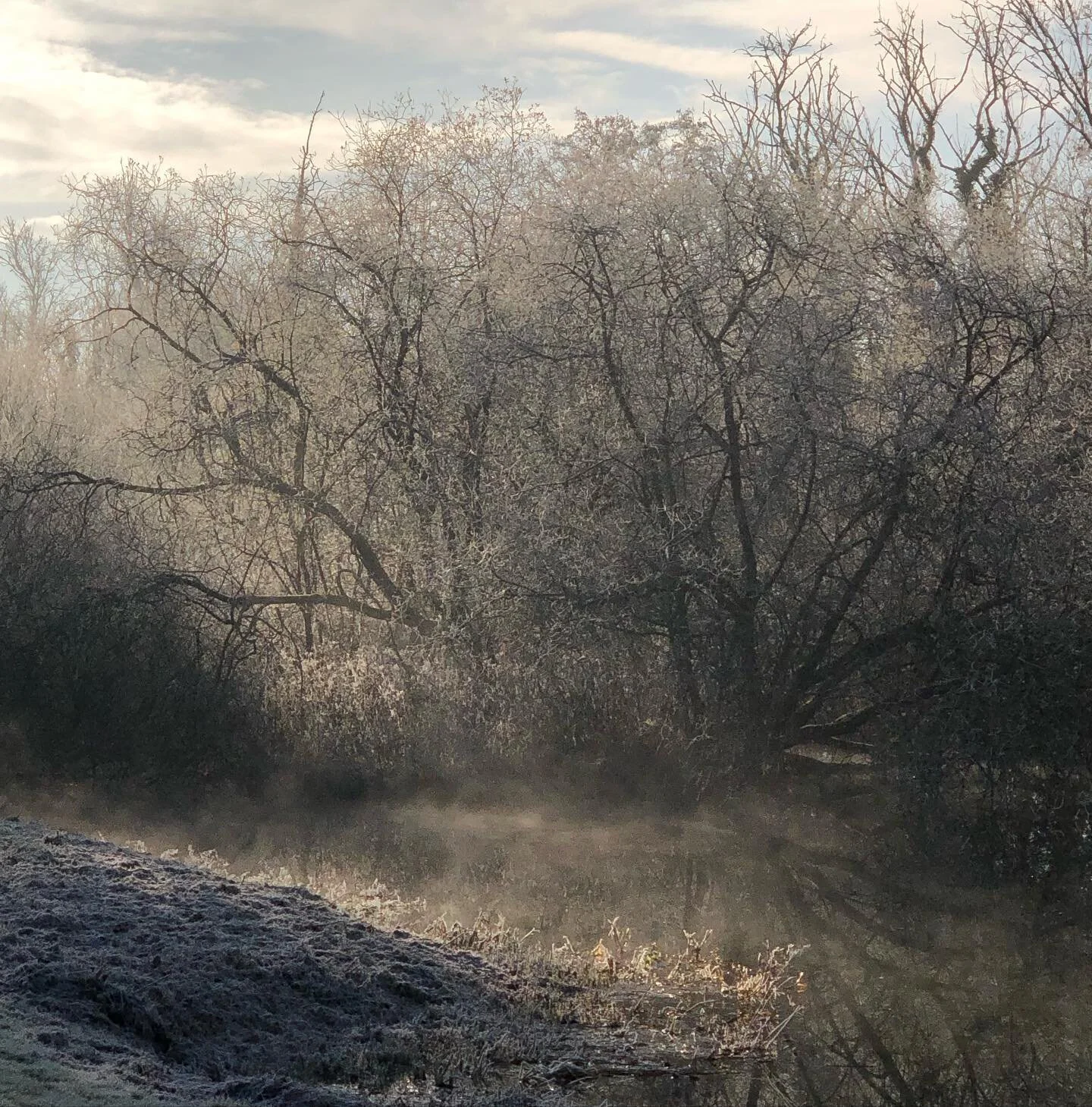 As we careen into Christmas at what feels like break neck pace, this is a little reminder to pause and take that extra deep breath. 

Inhale&hellip;&hellip;&hellip; Exhale&hellip;&hellip;&hellip;.

Somehow, getting here has felt like both a marathon 