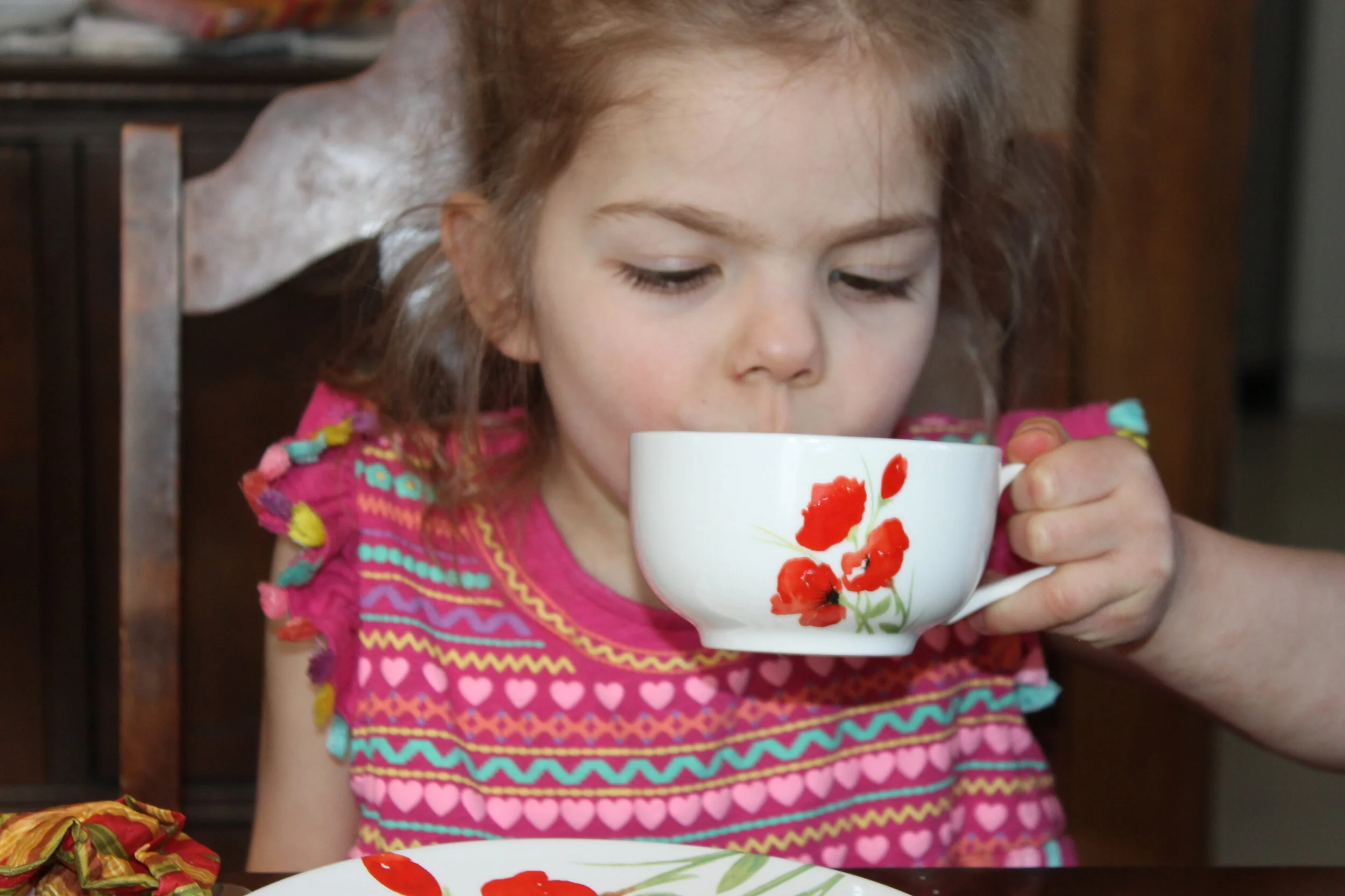 Teaching little ones to be a great guest