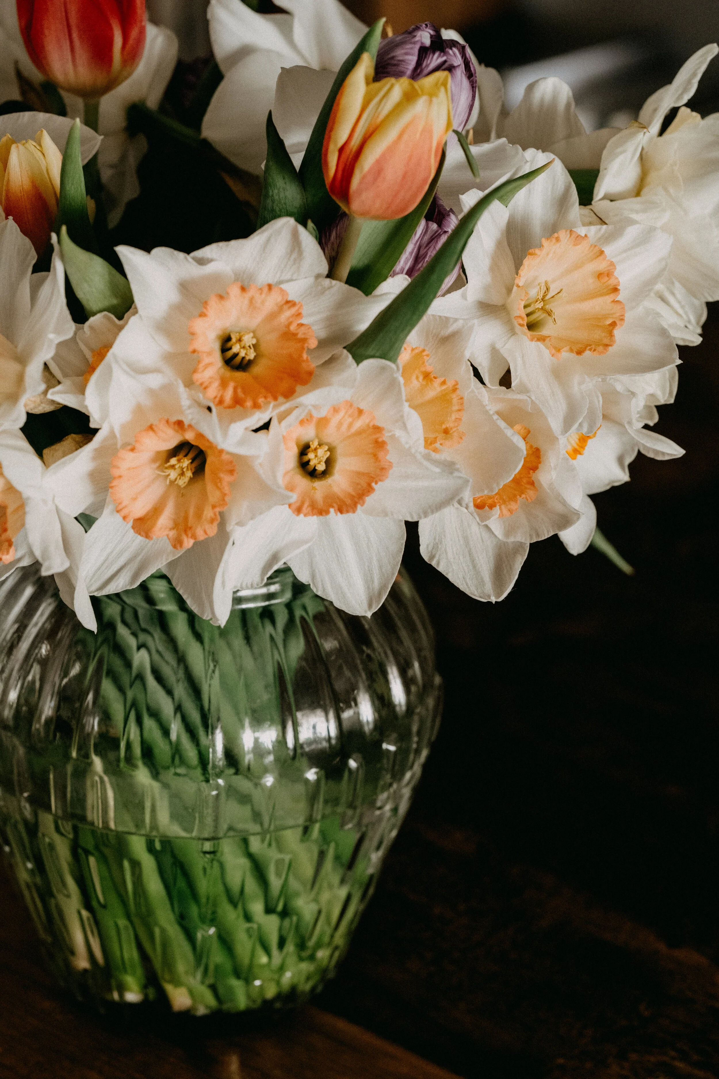 PODCAST GUESTS: Why Everyone Deserves a Beautiful Home