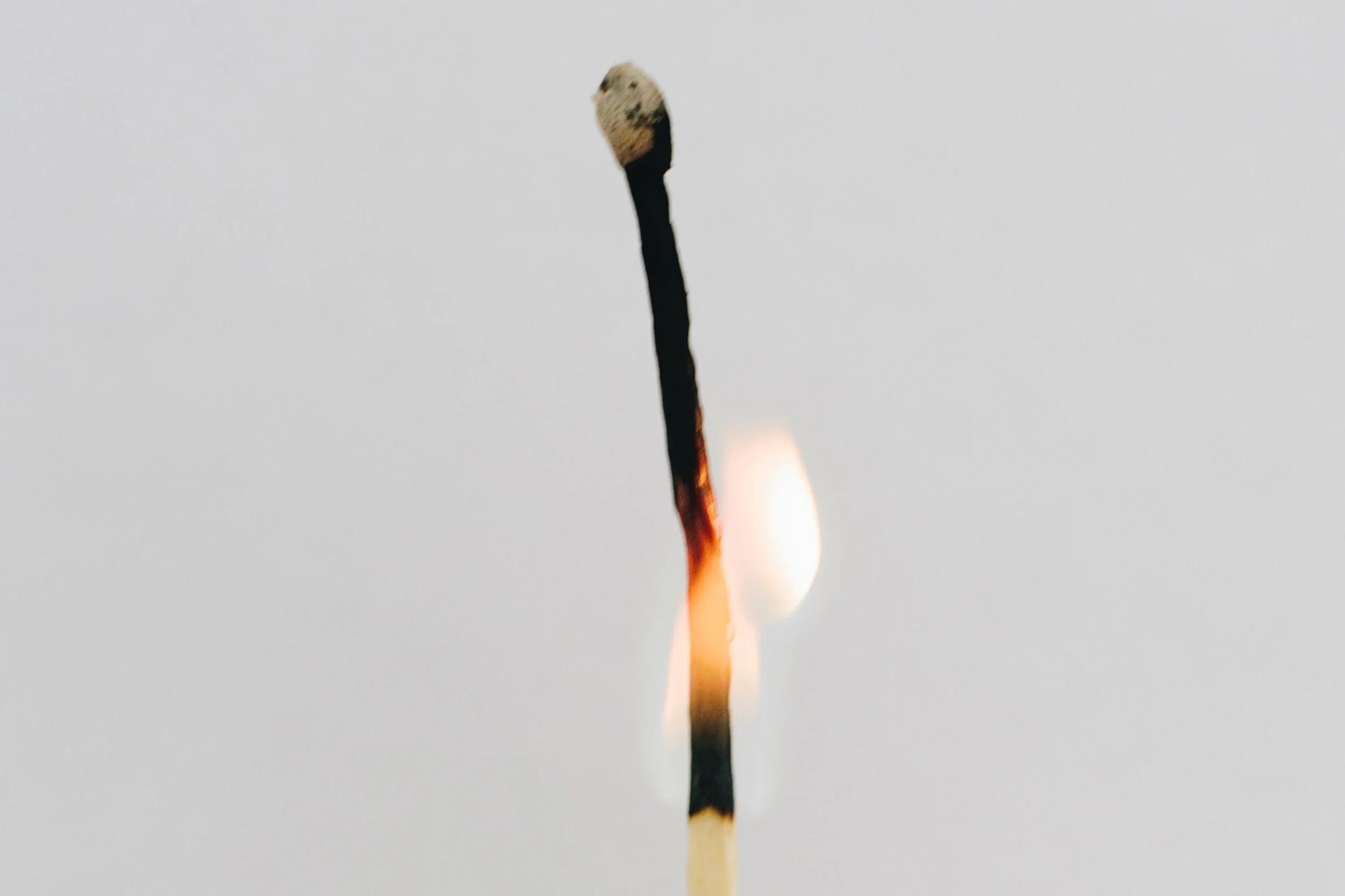 crop_mariana-beltran-sYXfkinti94-unsplash.jpg