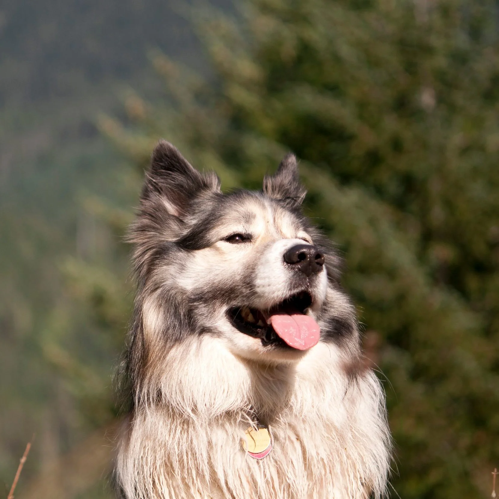 2010_08.18+Hyak.jpg