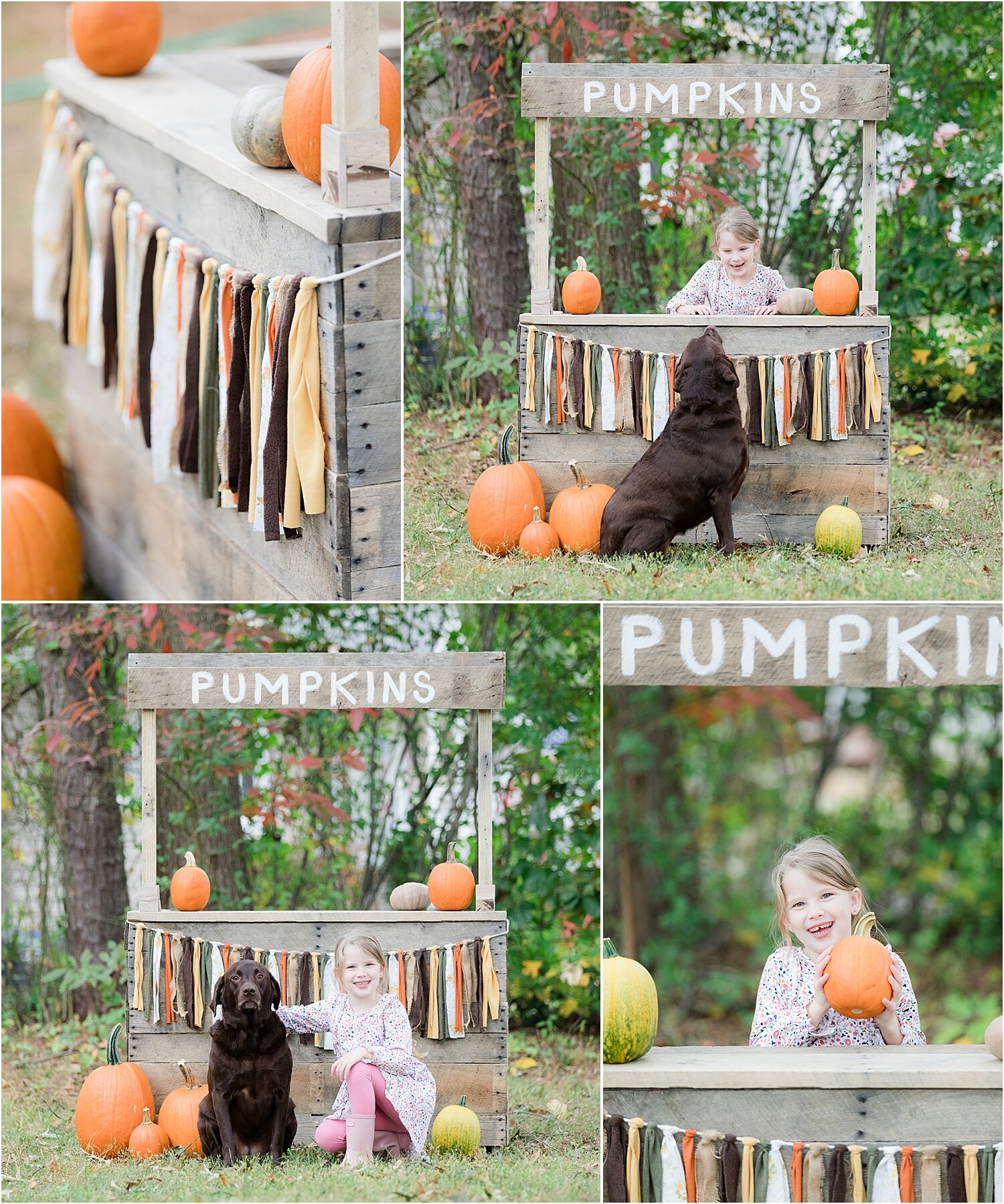 fall pumpkin patch stand made by Muermanns in NJ