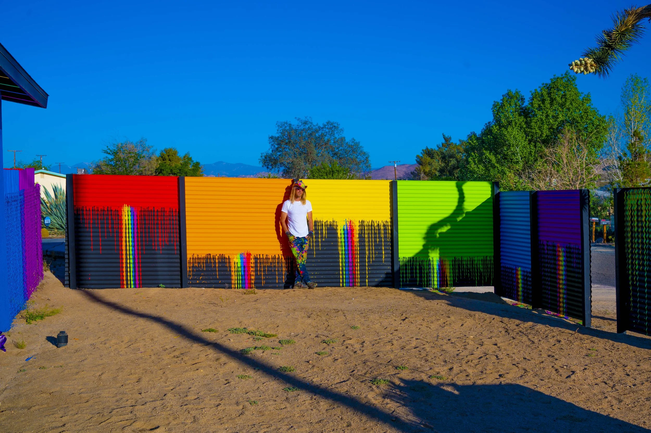 patrickwall06.jpg