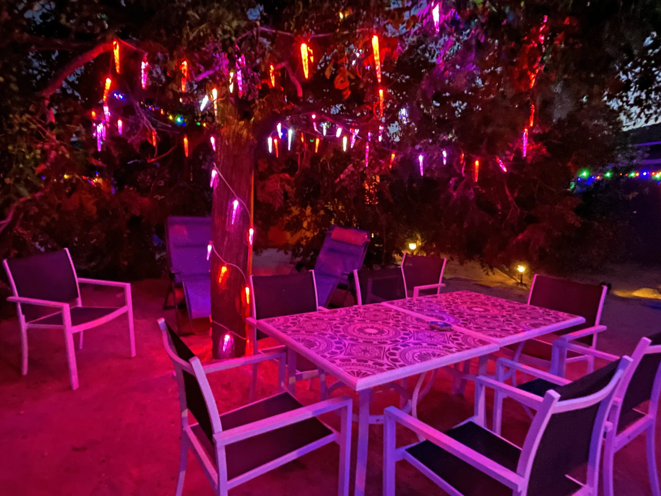 backyardnight08.jpg