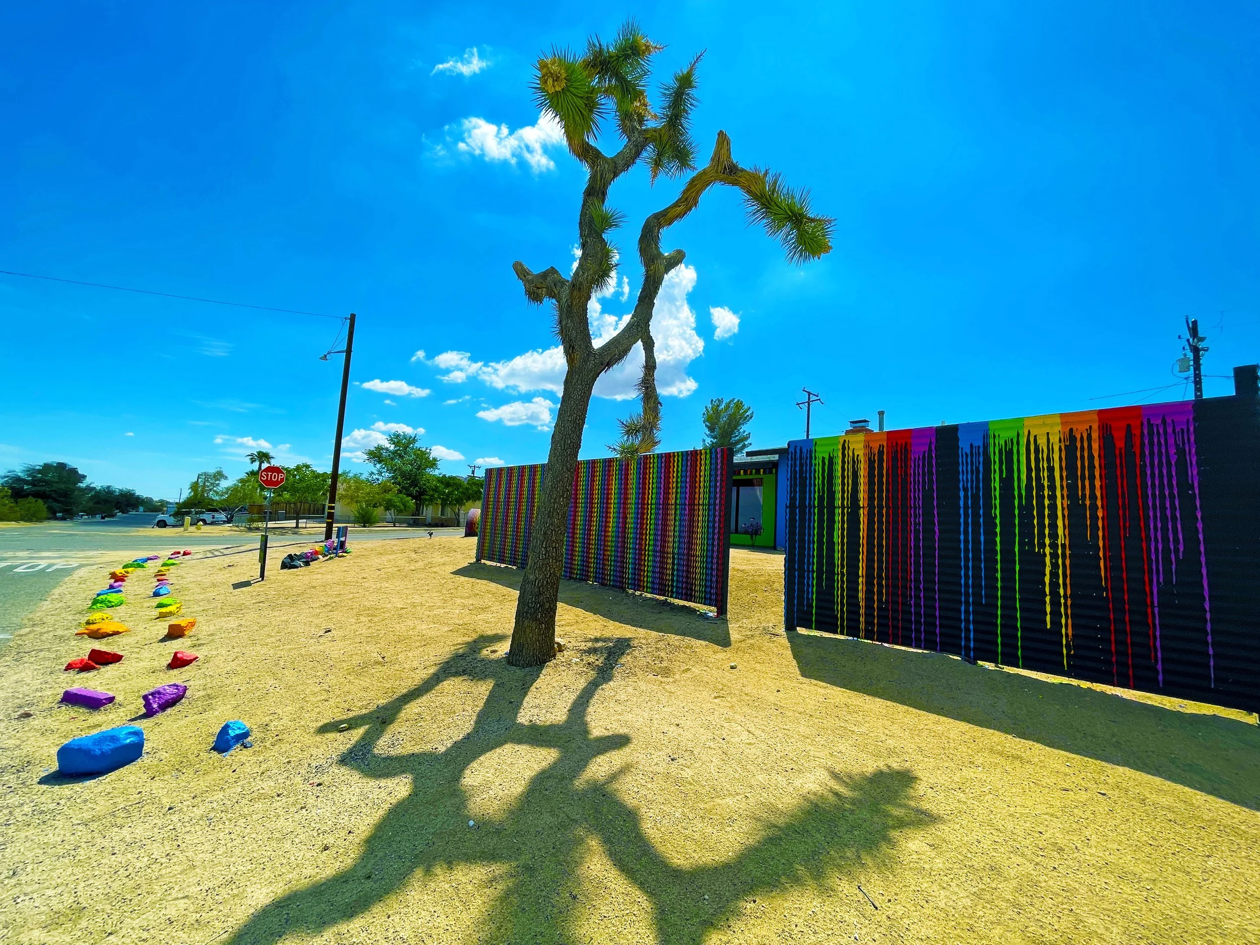 frontyard18.jpg
