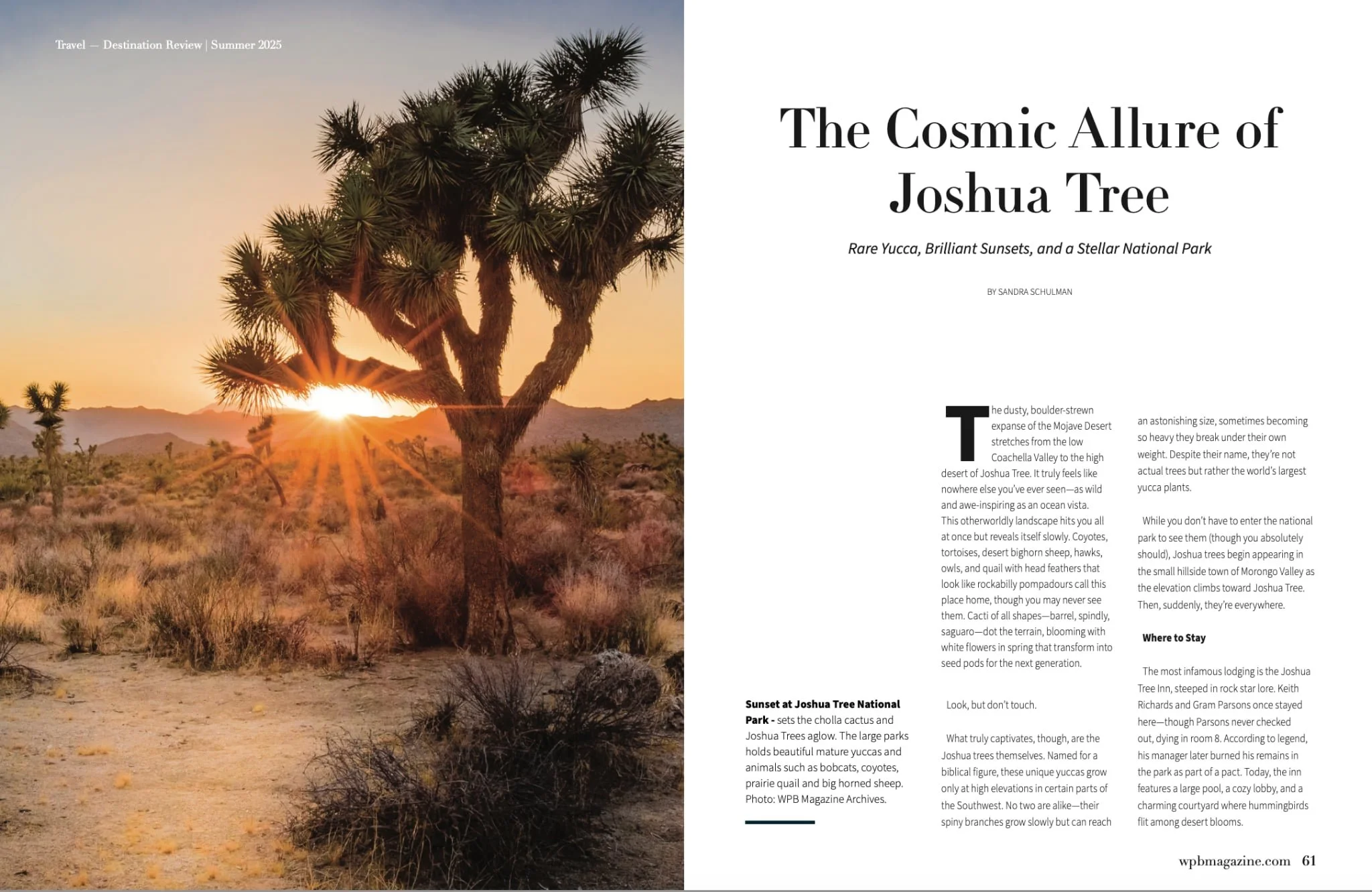 WPB Magazine page 01