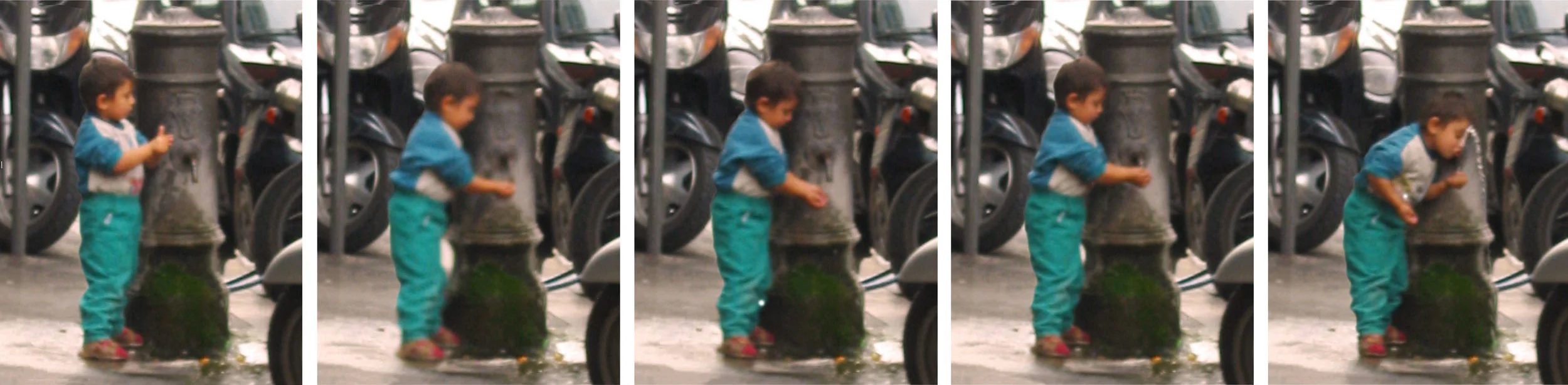 Roma Urchin , 2005. Clear acrylic print in light boxes. 50 x 12 inches.