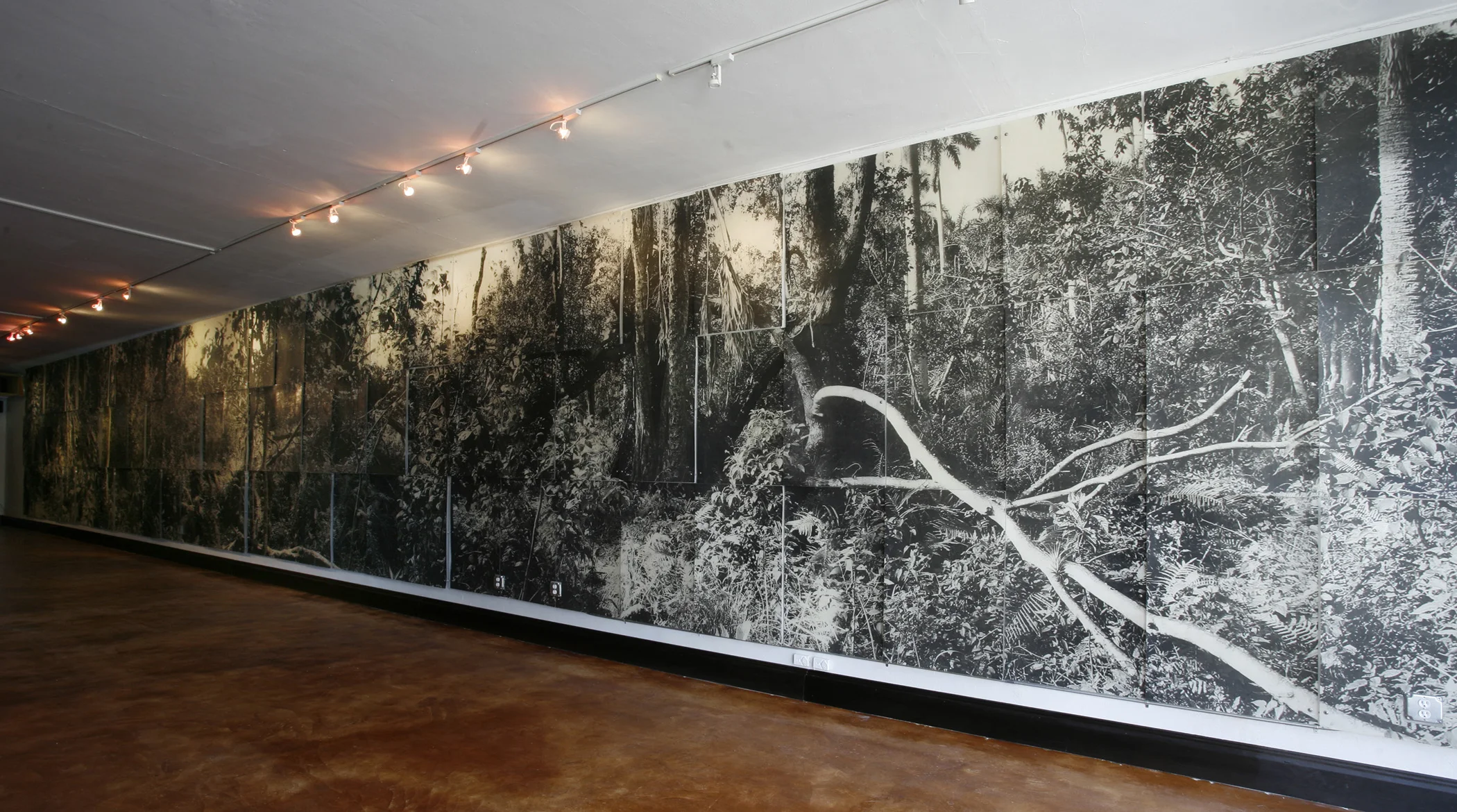 Solution Hole, 2008. Ink jet prints on acrylic panels. 9 x 60 feet.