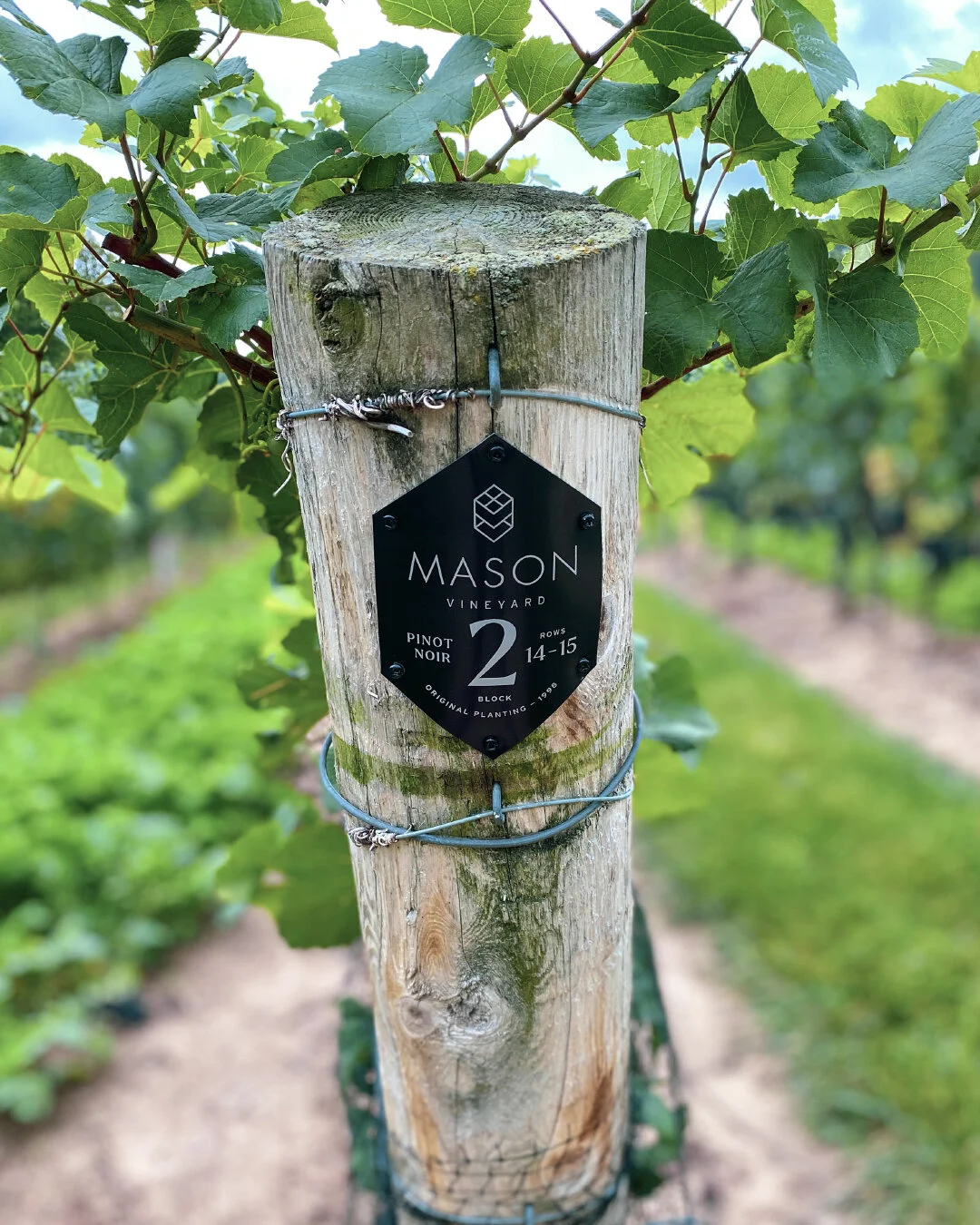 Mason Vineyard Endpost sm.jpg
