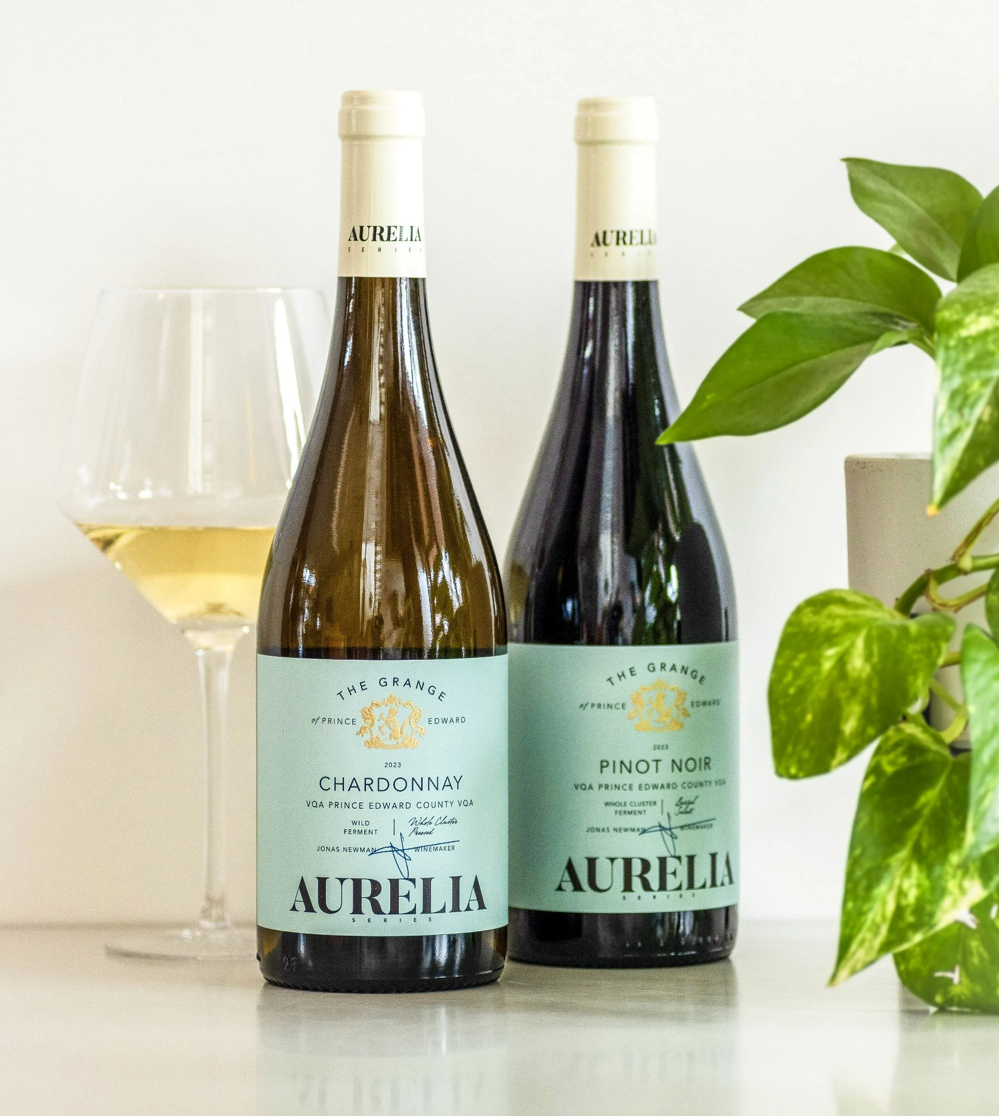 Insite Grange Aurelia Chard and Pinot CC sm.jpg