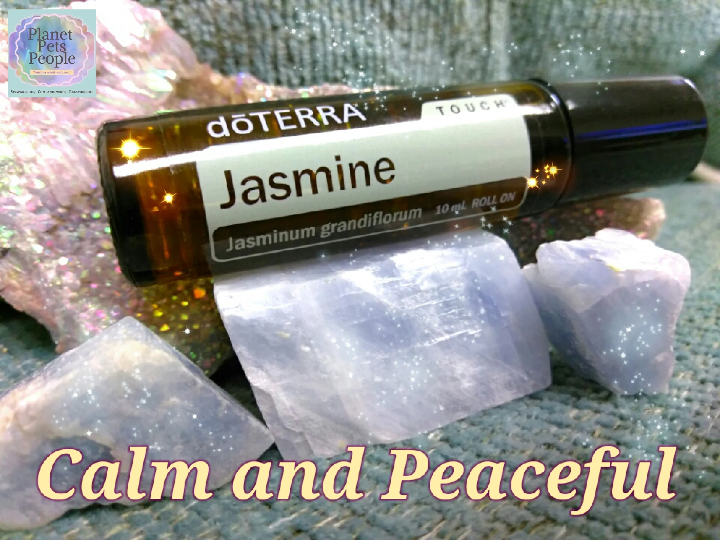 Jasmine.jpg