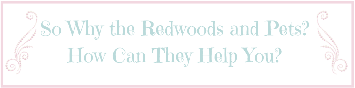 What Matters to US-WhyREdwoods.png