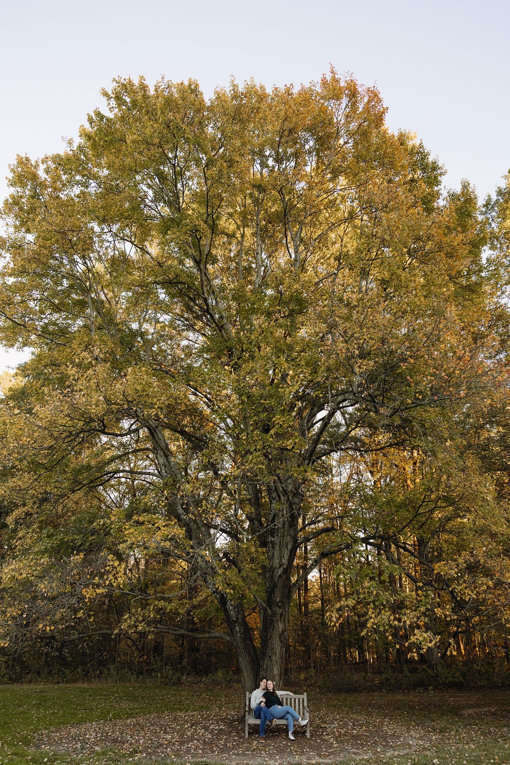 Sarah and Luke // Inniswood Metropark Engagement Photos