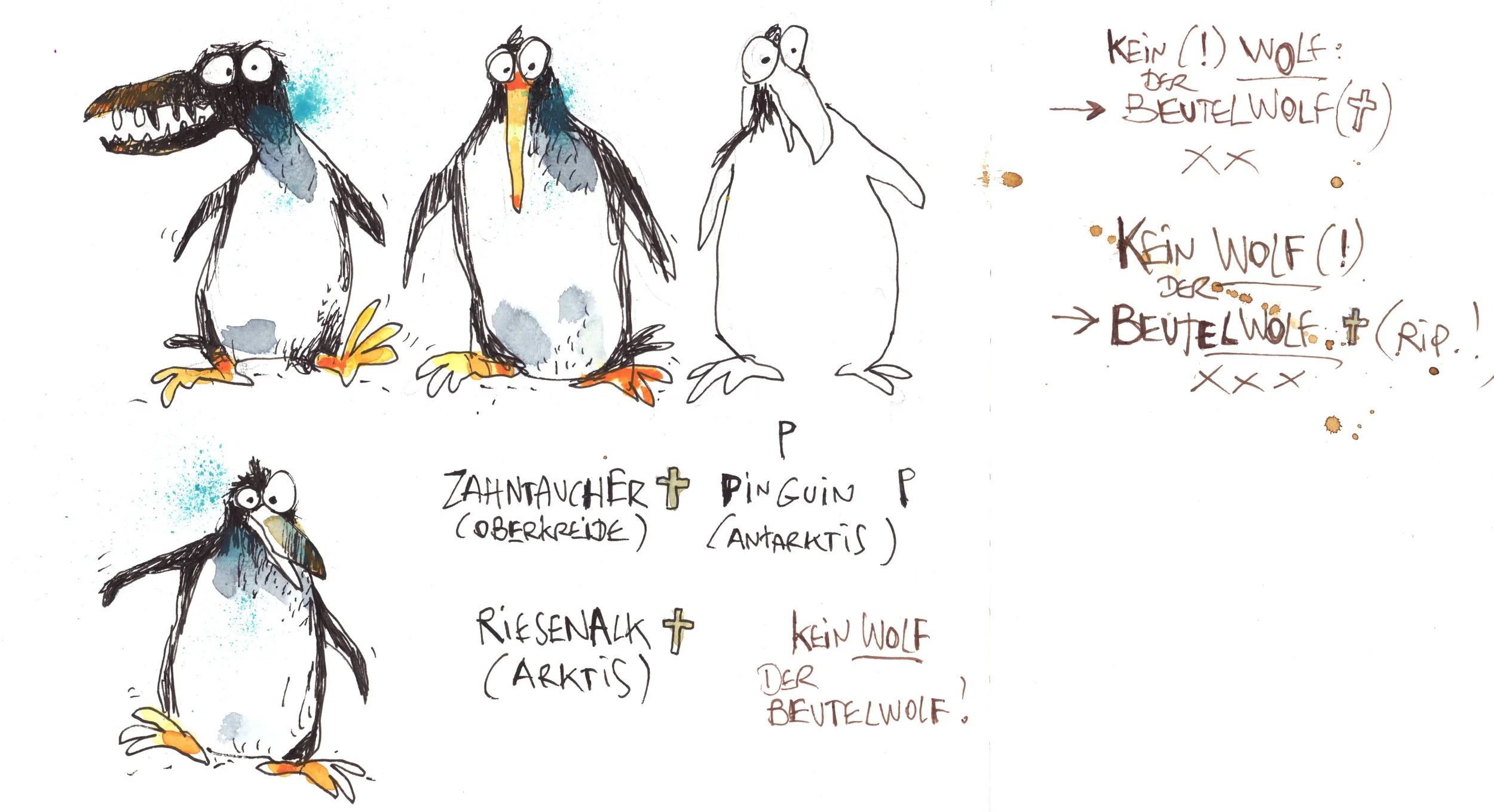 zahntaucher_pinguin.jpg