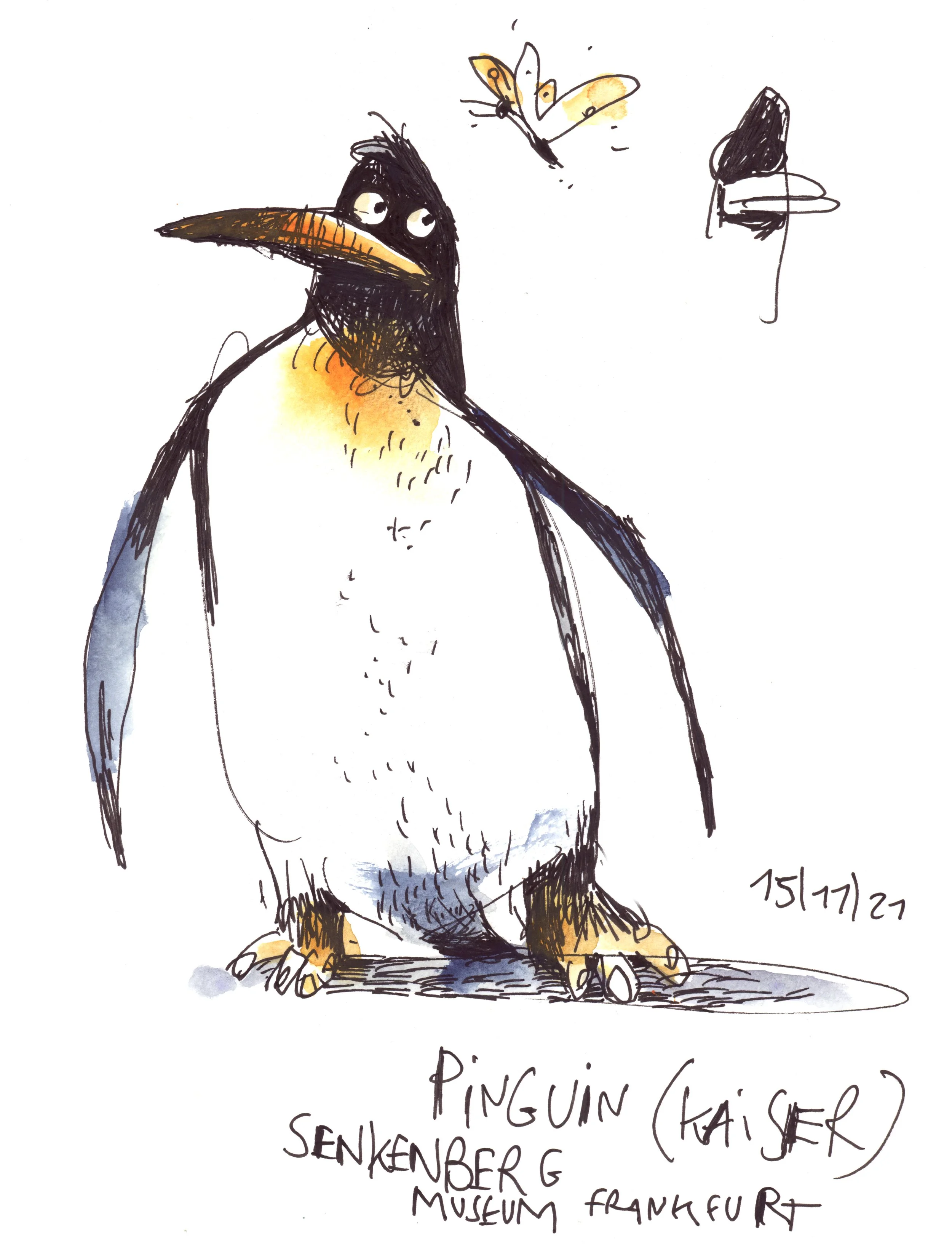 kaiserpinguintif.jpg