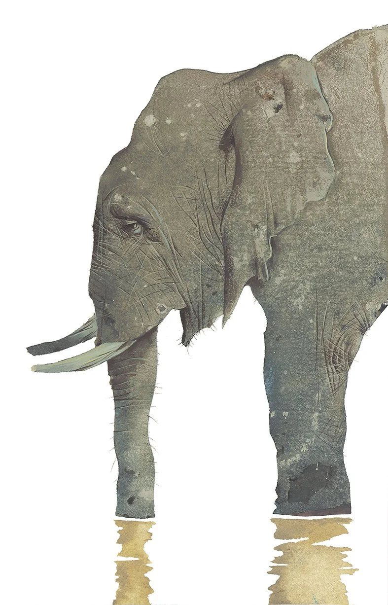 HATHI_ill_kl Kopie.jpg