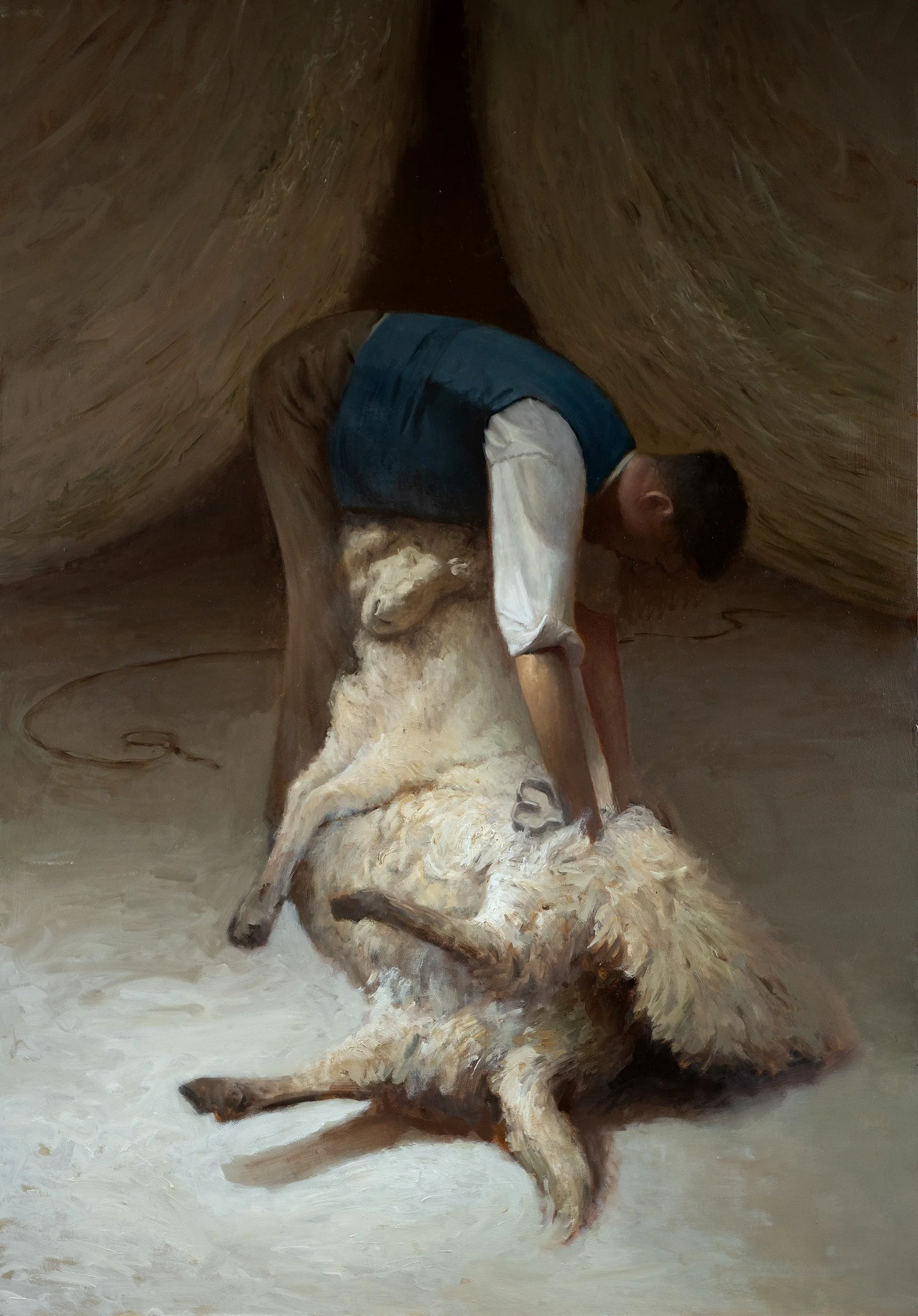 shearing lo.jpg
