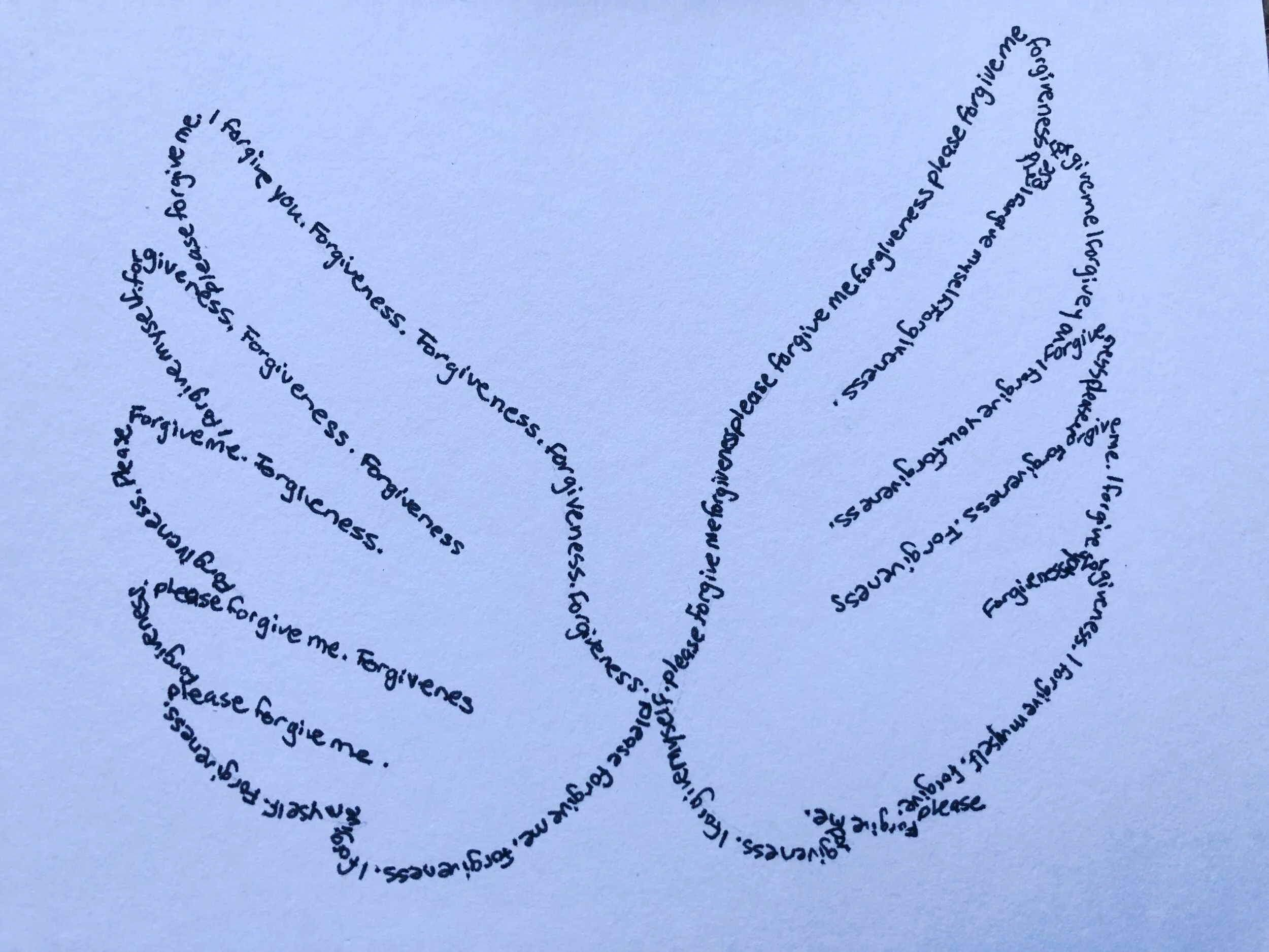 Wings of Forgiveness