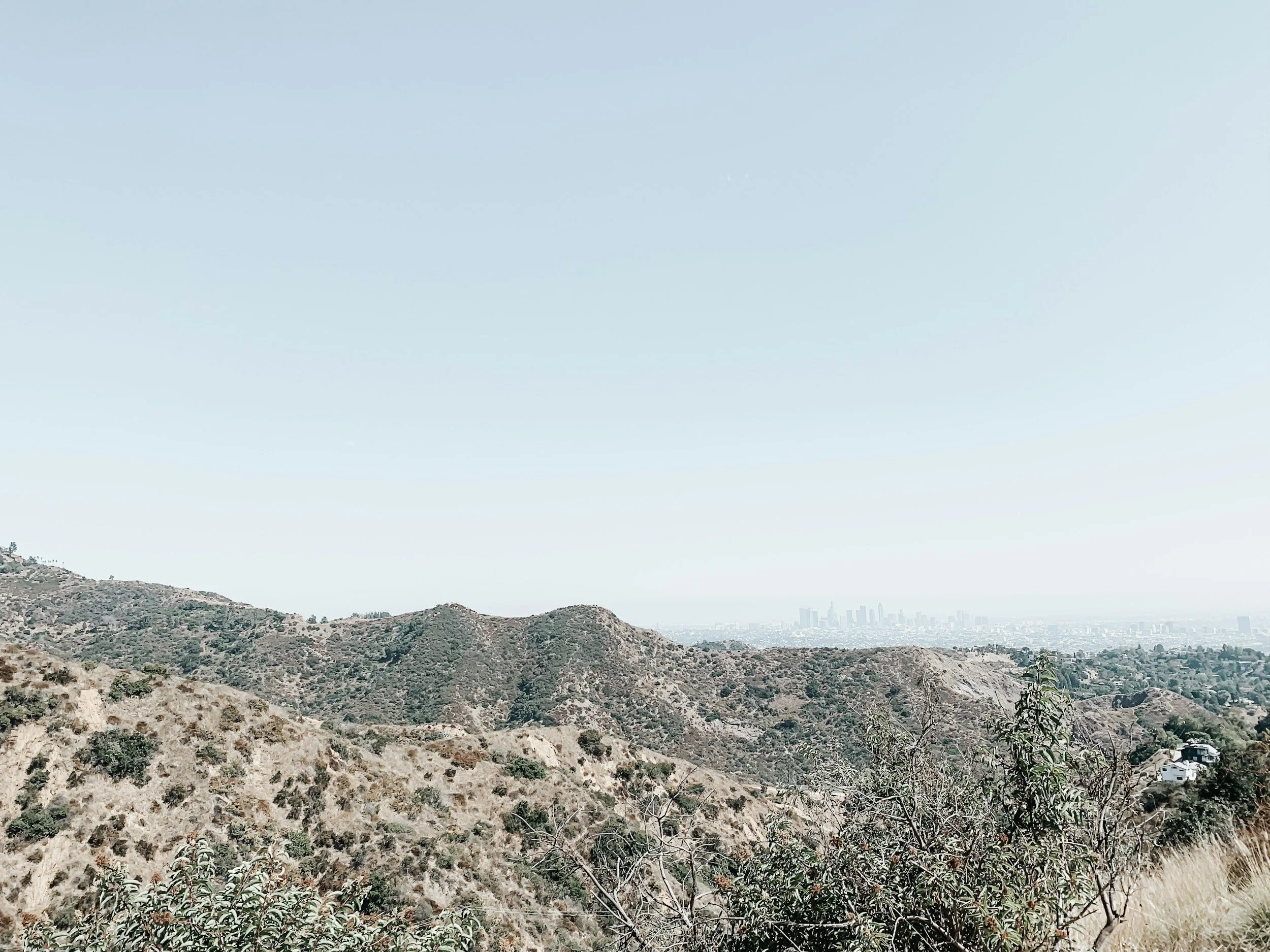 December Wandering // 12.12.26