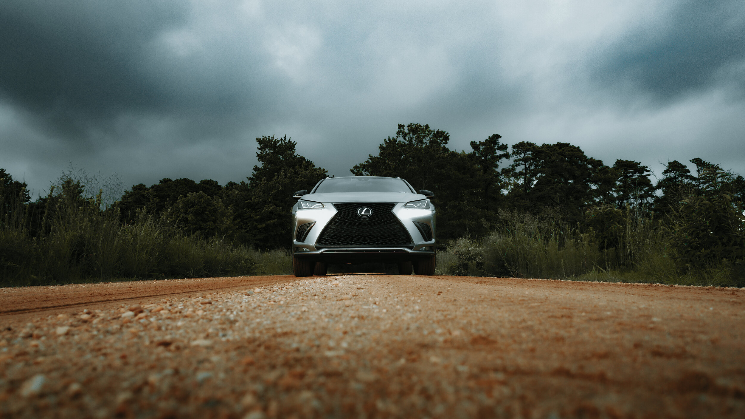 Lexus15.jpg