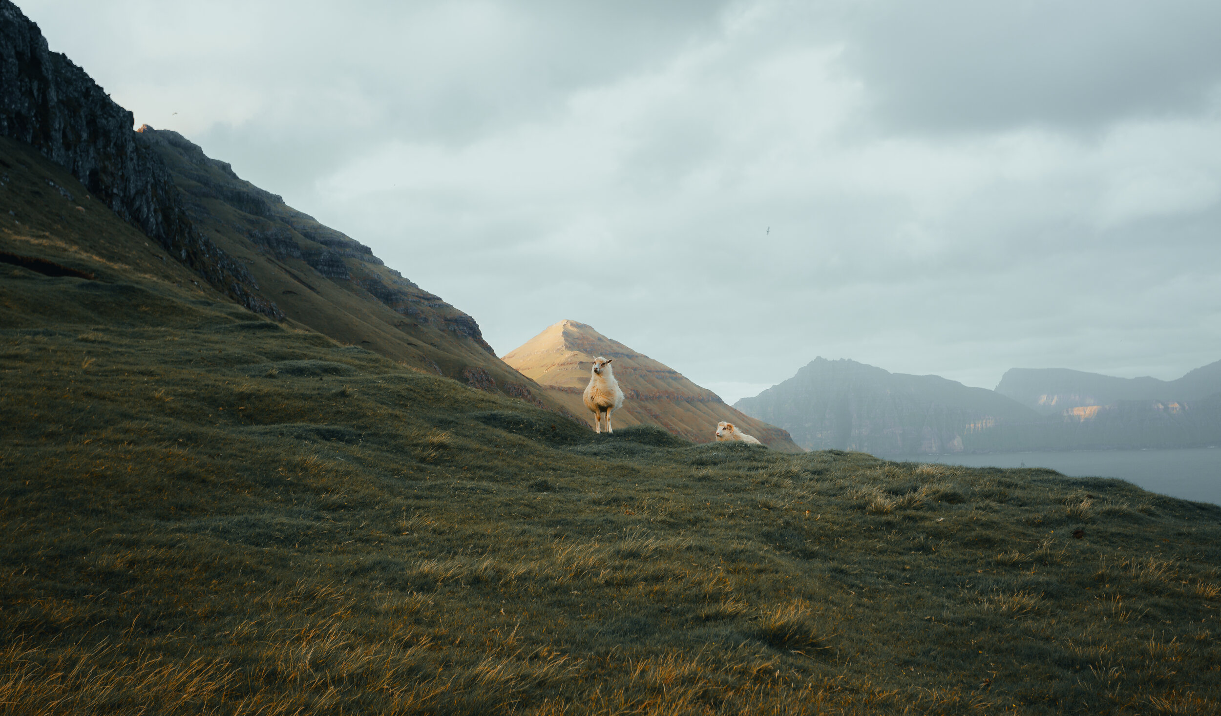 FaroeIslands-68.jpg