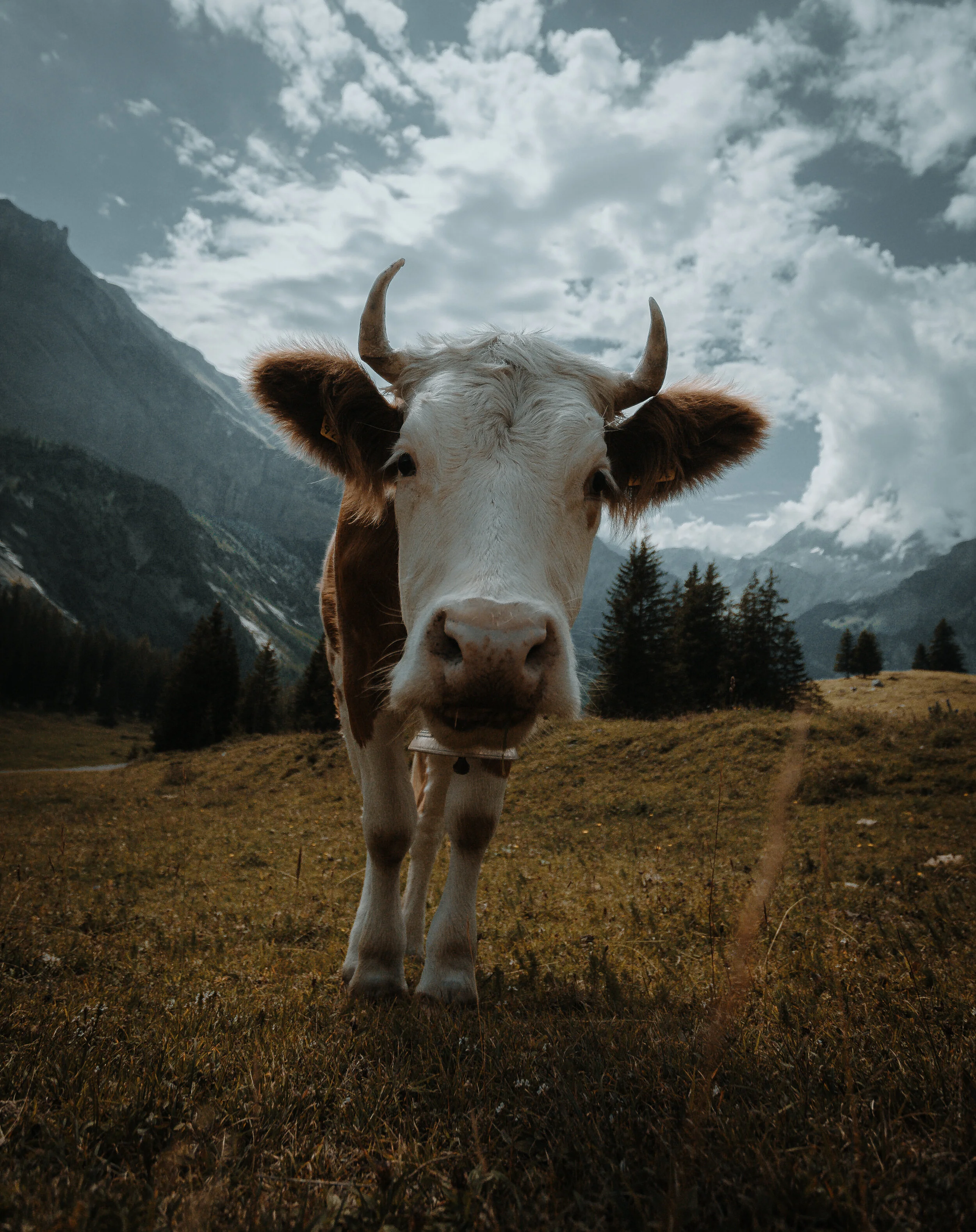 Switzerland-23.jpg