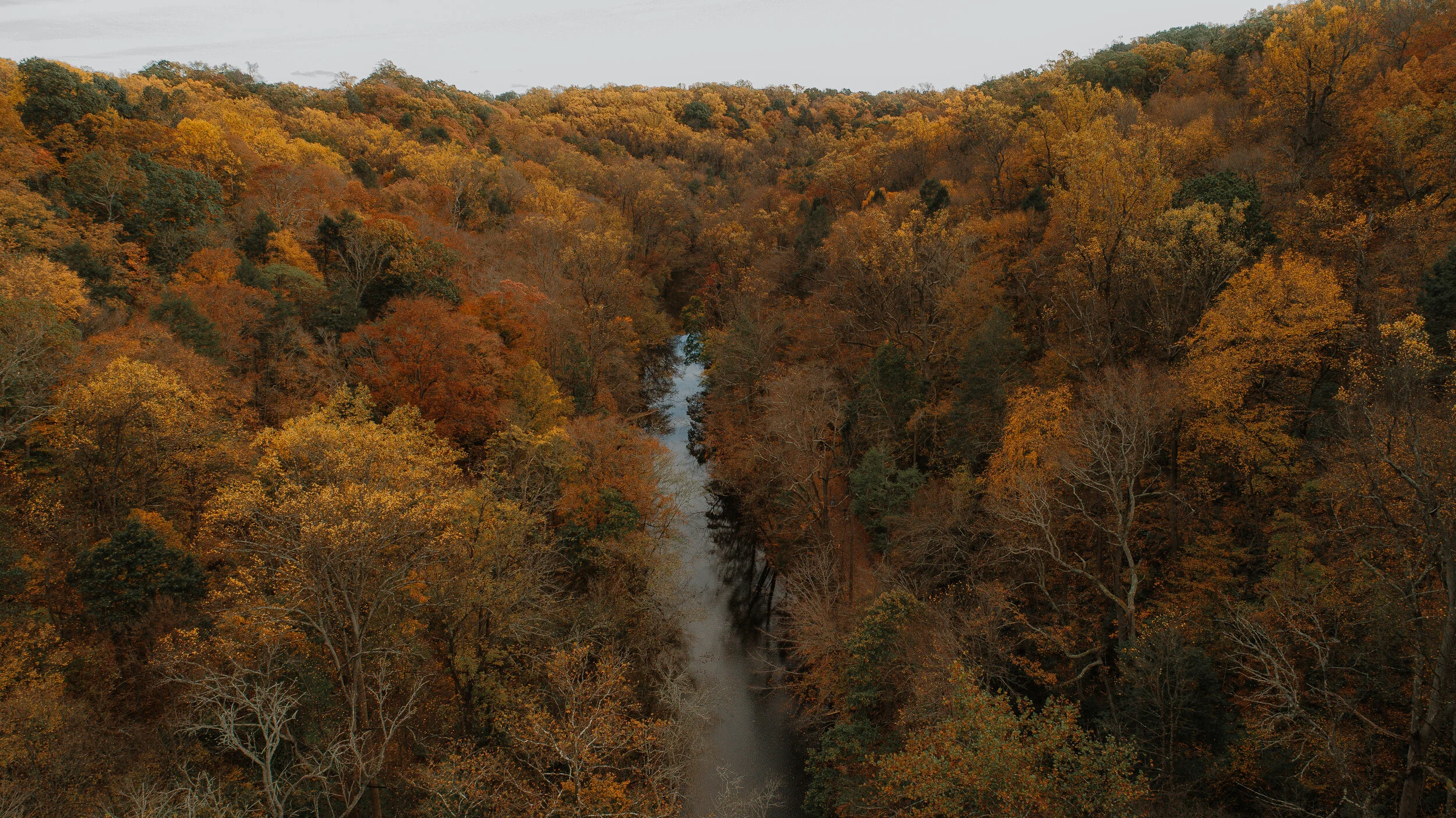 Wissahickon-62.jpg