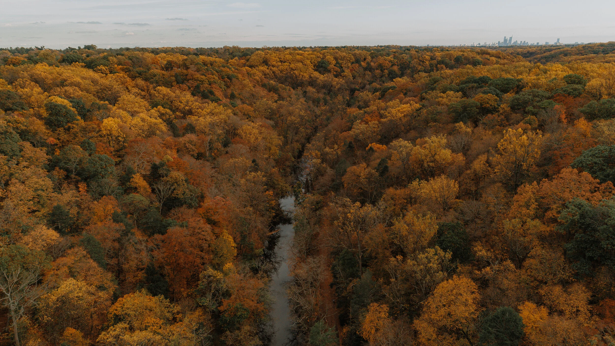 Wissahickon-63.jpg