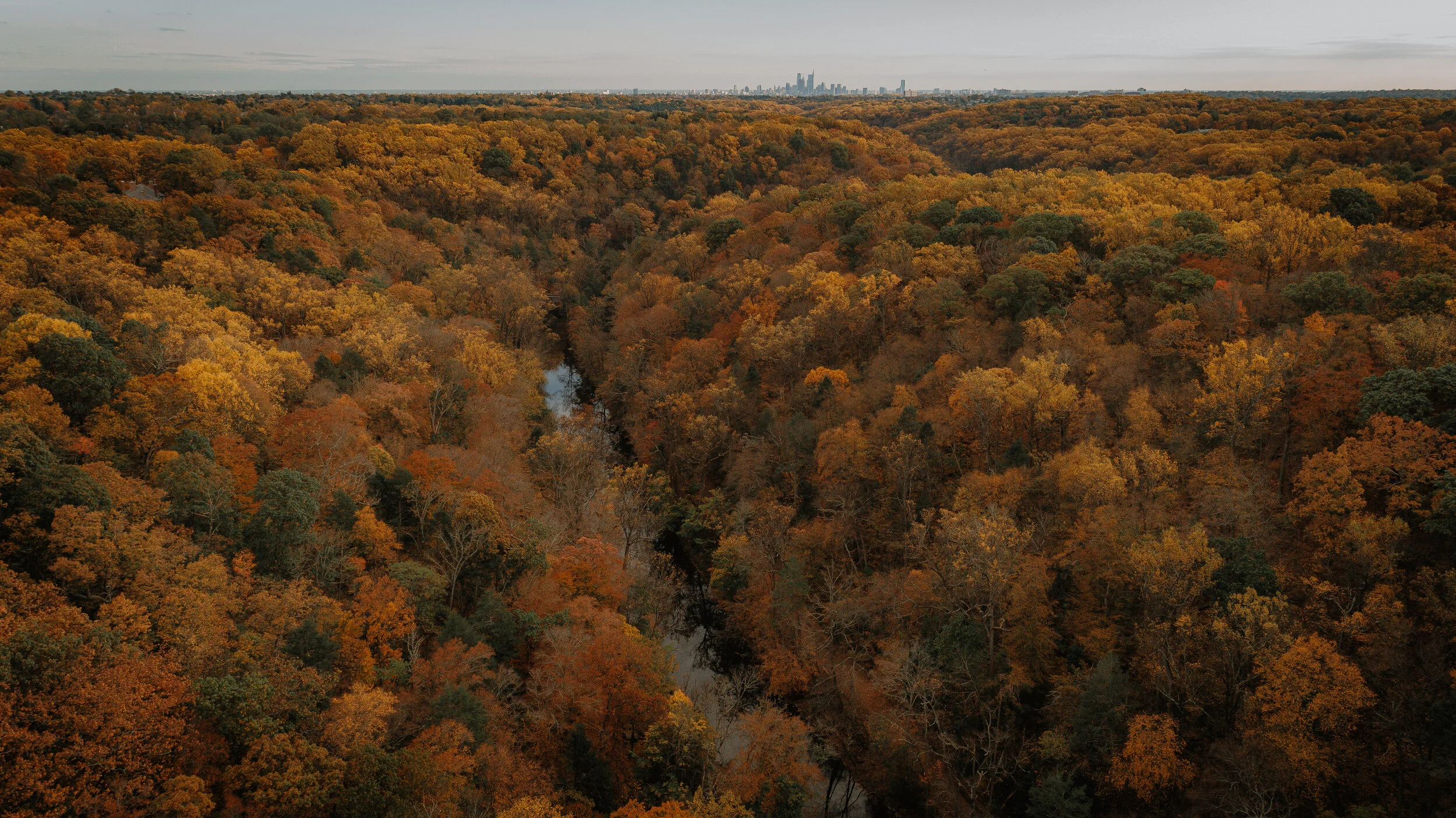 Wissahickon-64.jpg